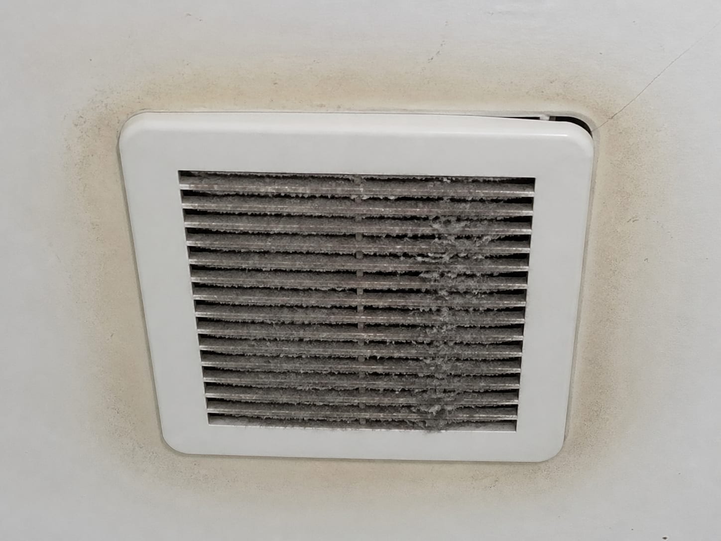 A ceiling exhaust fan grille whose louvres are matted with grey dust, with a faint discoloured ring stained into the ceiling paint around its edge, in Alpine, New Jersey