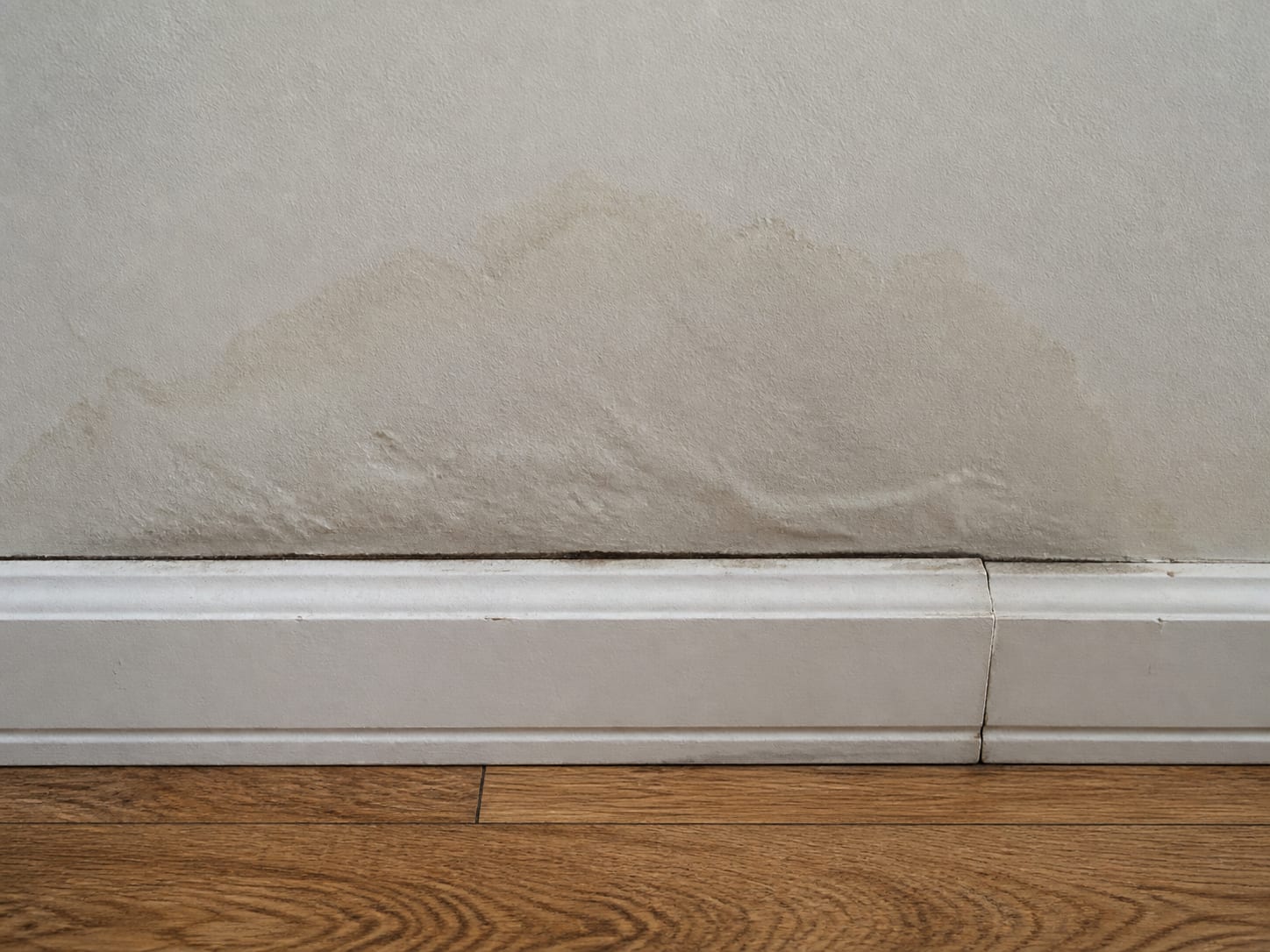 A faint damp patch bleeding through the paint above the skirting board on an interior wall in a West Windsor, New Jersey home, with a slight bloom on the surface