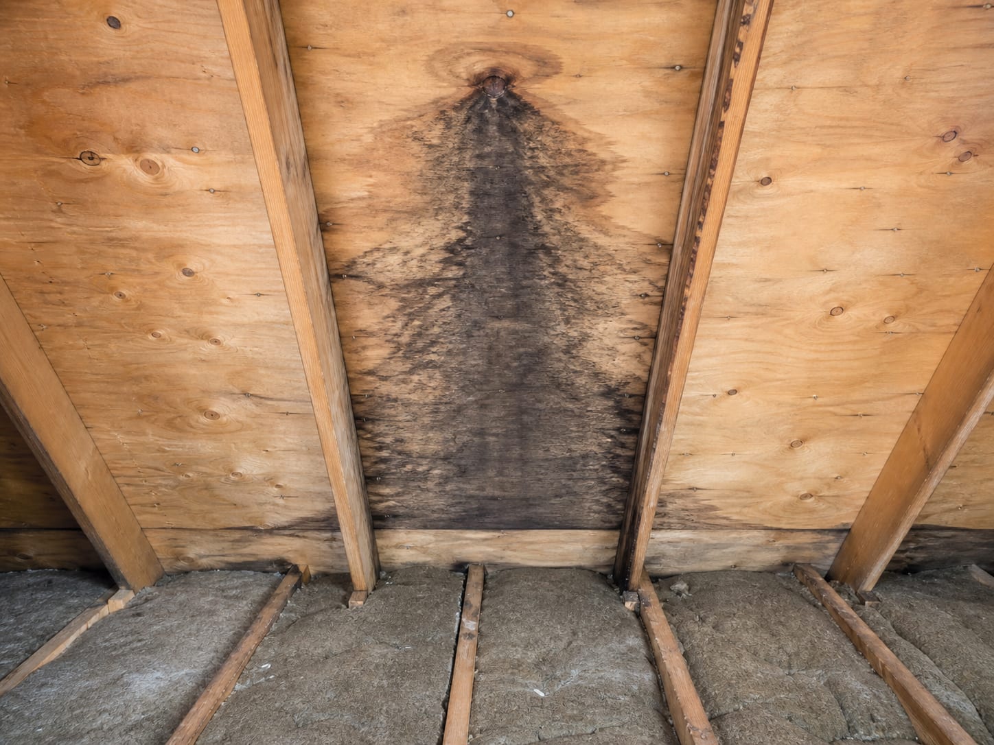 Attic sheathing where a single rafter bay carries a defined dark stain running down from a point near the ridge while the bays immediately either side stay clean and pale, in Alpine, New Jersey