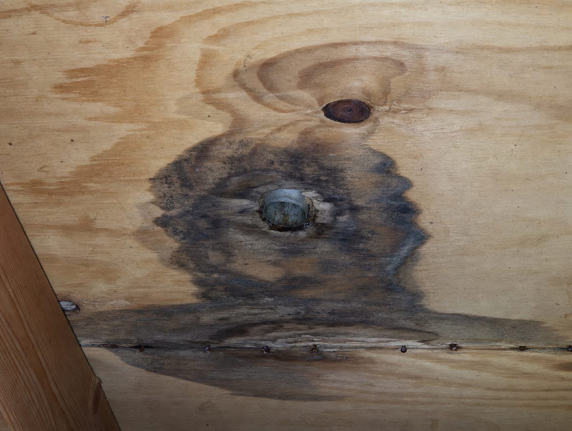 A close view of a localized dark water stain on attic roof sheathing around a nail line and a roof penetration in a Deal home, the signature of a roof leak