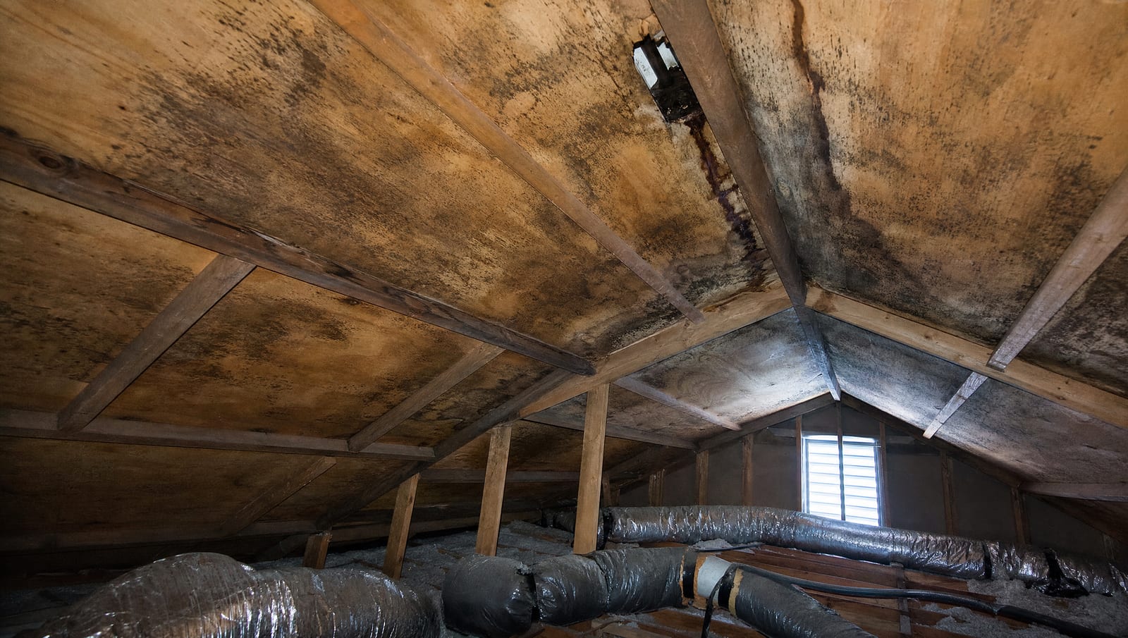 Attic Mold Remediation in Deal, NJ: The Coastal Attic Equation of Roof, Air, and Condensation
