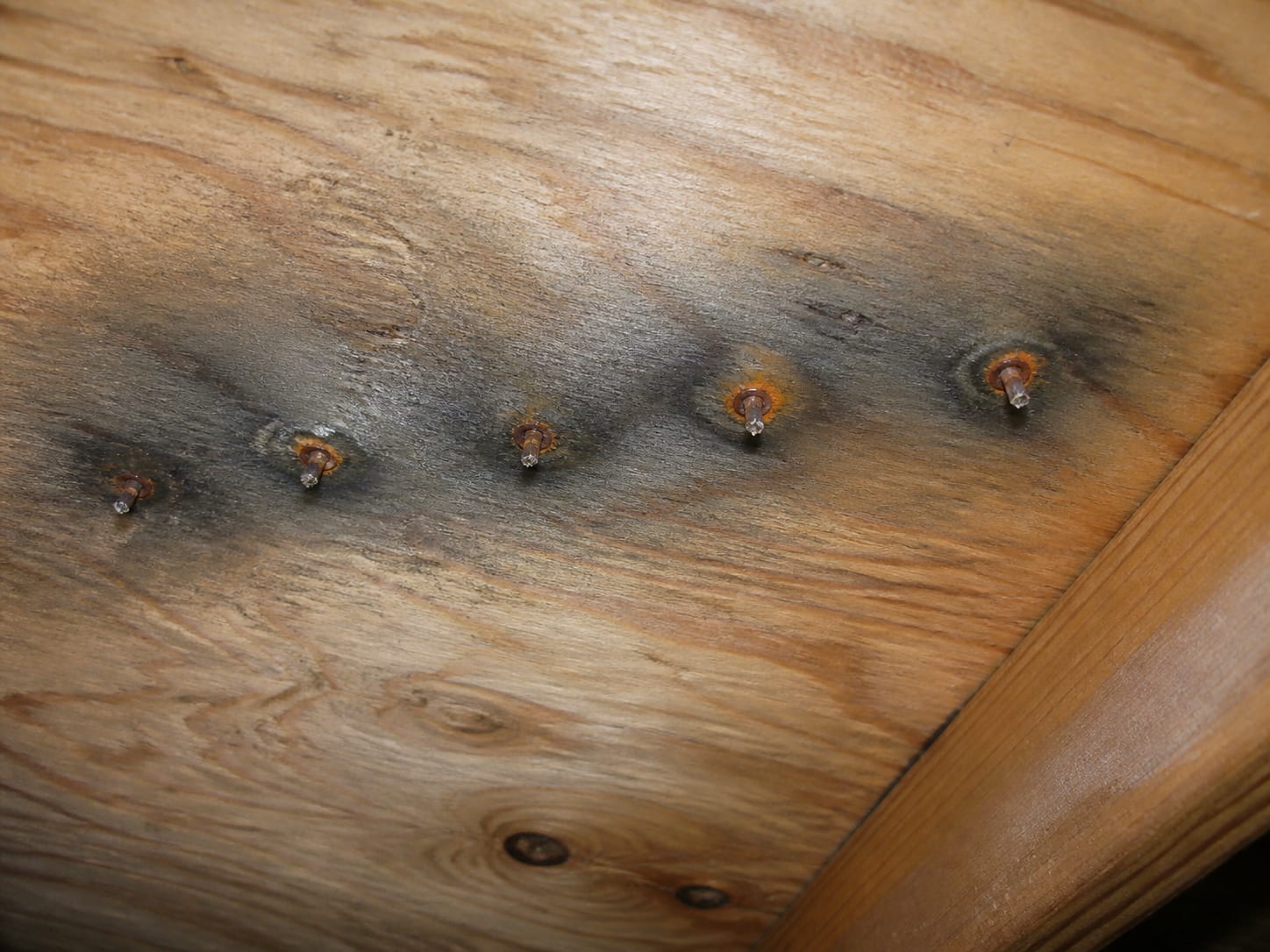 A close view of the underside of roof sheathing in an East Windsor attic where roofing nail tips protrude through the wood carrying frost and rust rings, with dark discoloration spreading around them