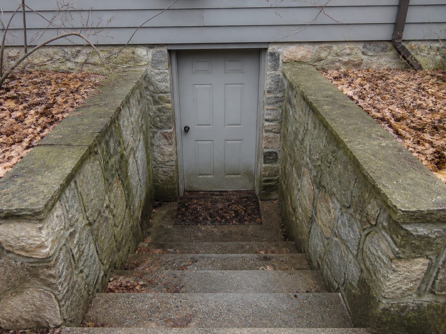 A recessed exterior stair well down to a lower level door, the drain grate at the bottom packed with wet leaf litter and a dried water line marked on the masonry above it, in Alpine, New Jersey