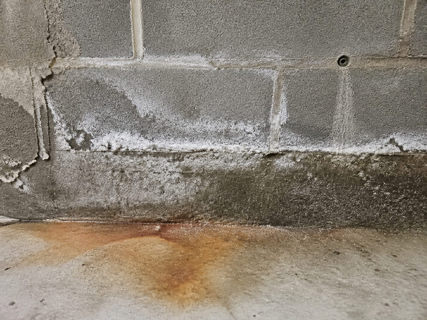 A close view of the seam where a below grade foundation wall meets its footing, with white mineral deposits and a damp band along the lower mortar joints