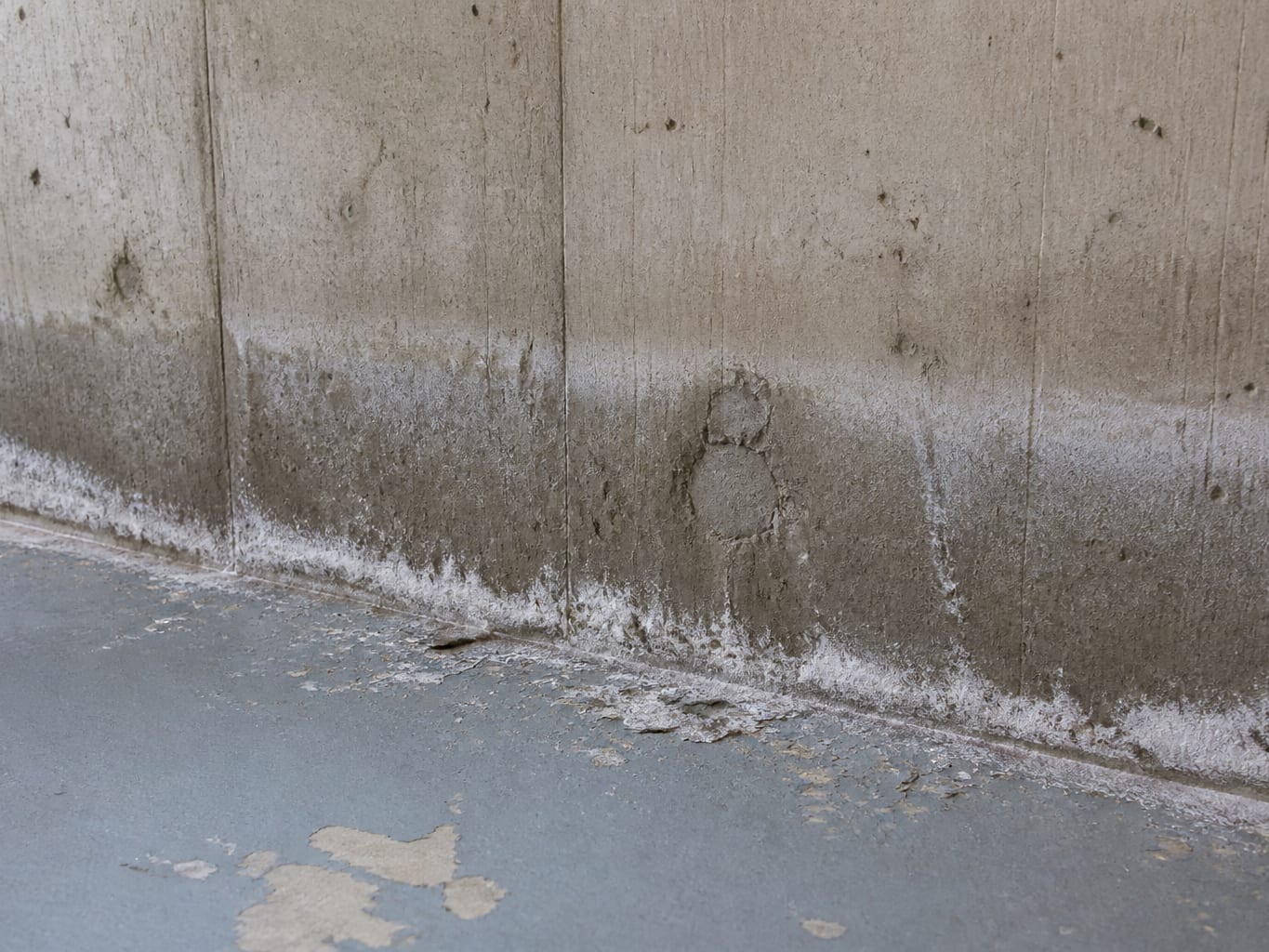 A close view of the wall to floor joint of a bare foundation wall in a utility basement, with a chalky efflorescence bloom and a faint tide line marking where water arrived and stood