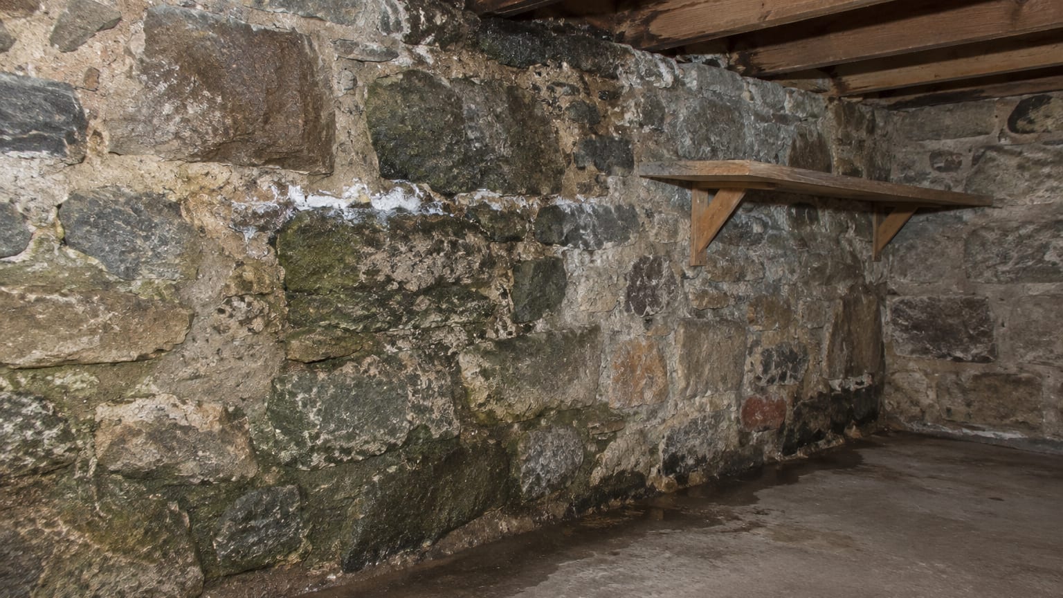 Basement Mold Remediation in Trenton, NJ: Old Masonry Cellars and Summer Rain