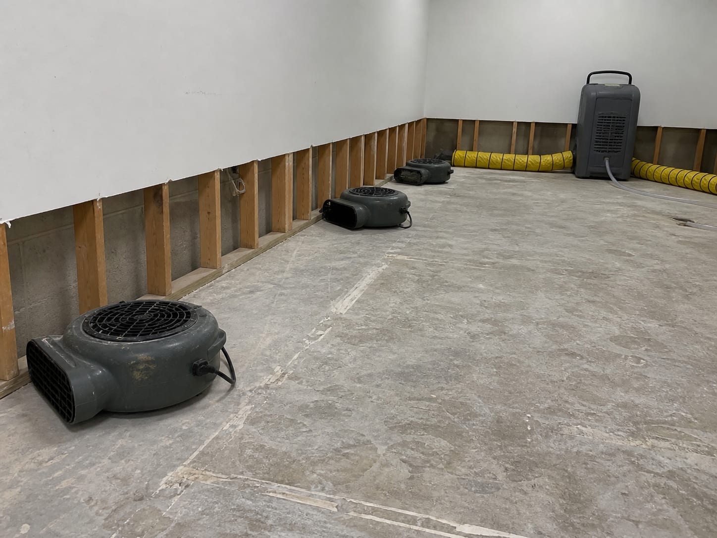 Low profile air movers set on a bare concrete slab angled into the base of an opened wall, with an upright dehumidifier and lay flat ducting along the far wall, in Warren, New Jersey
