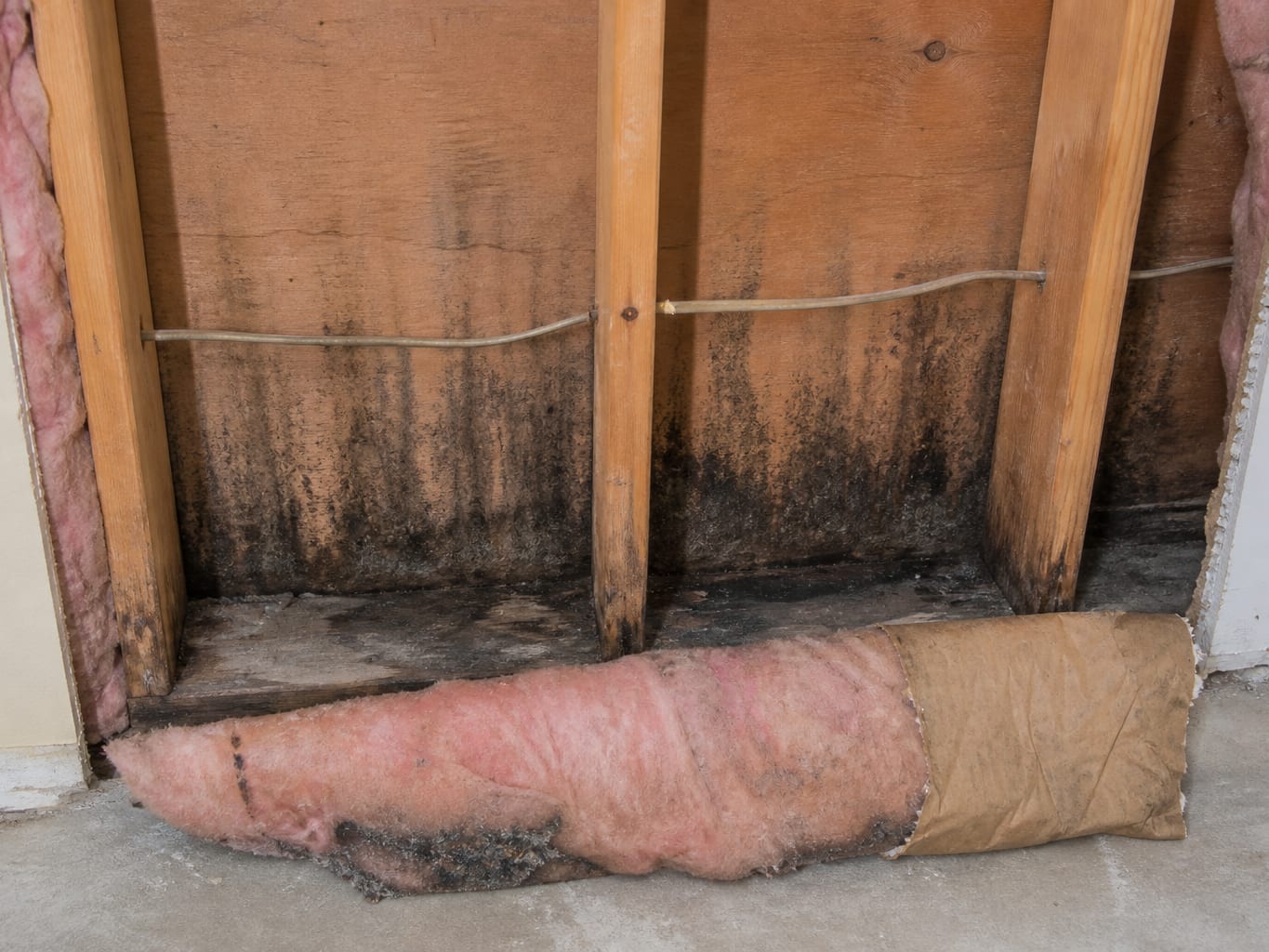 An opened stud bay in a West Windsor, New Jersey basement with the insulation pulled back to show a darkened sill plate and staining running up the sheathing