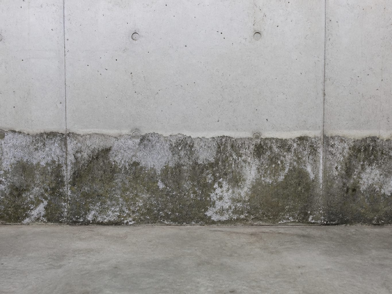 White efflorescence and dark staining spreading across the lower two feet of a poured concrete basement wall in a West Windsor, New Jersey home