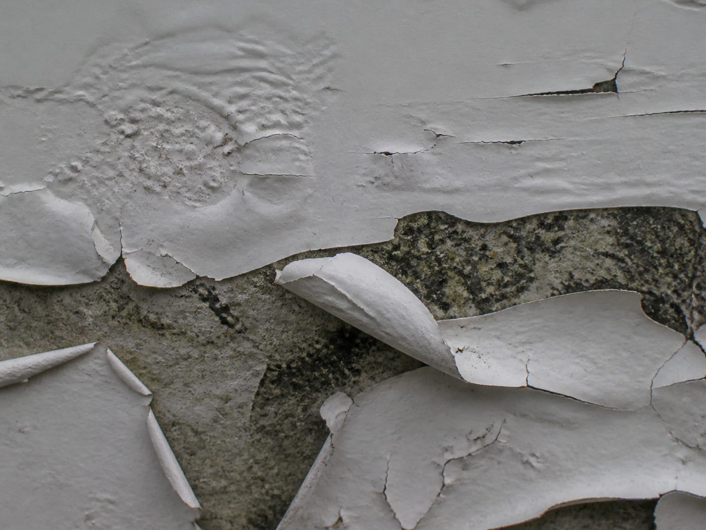 A painted wall where the coating has blistered and peeled away in sheets, with dark growth visible on the substrate through the gaps in the failed film, in Alpine, New Jersey