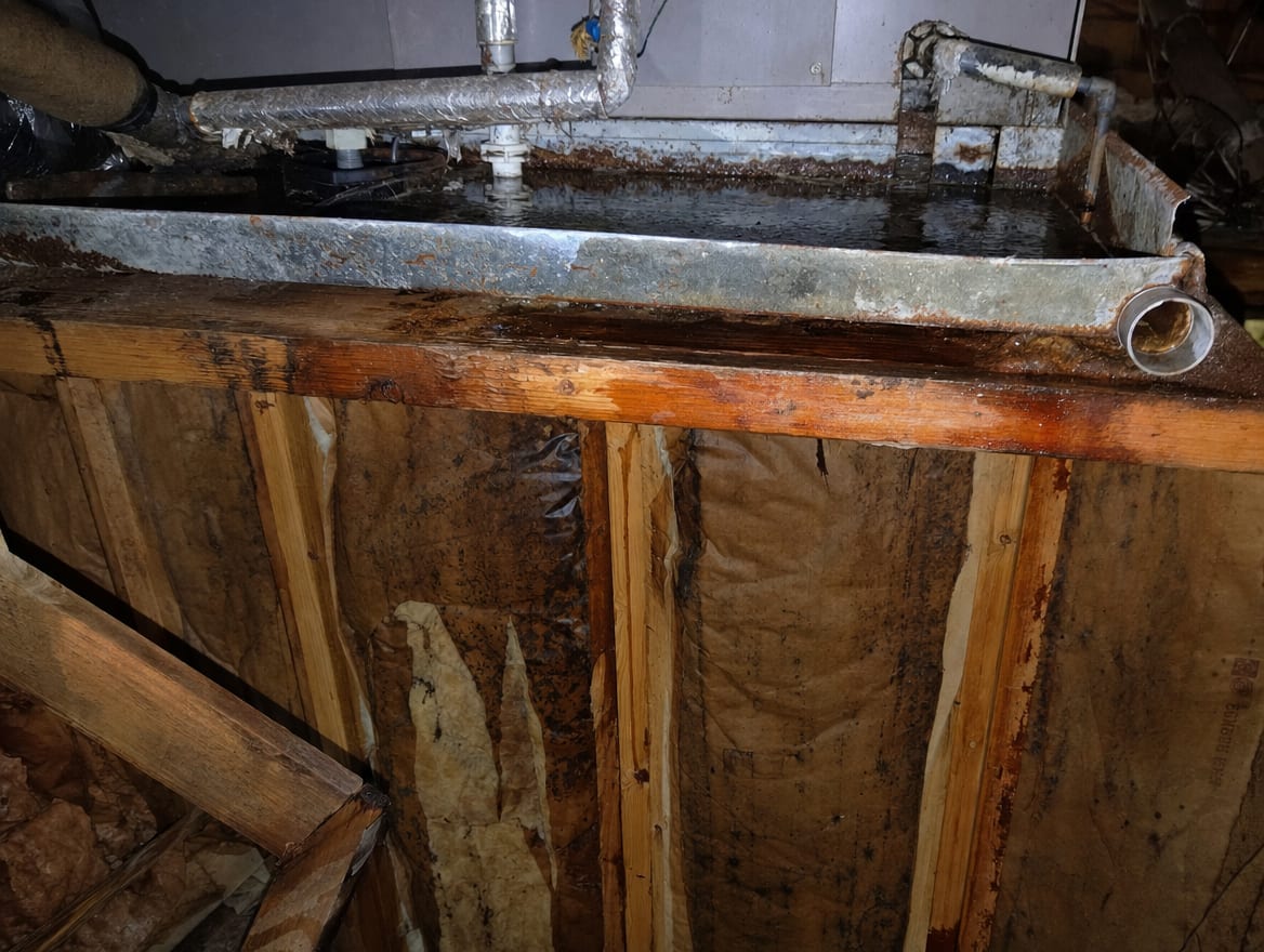 A rusted, overflowing HVAC condensate drain pan under an air handler in a Deal attic, water and rust tracking down the framing below, the real moisture source behind the dark growth