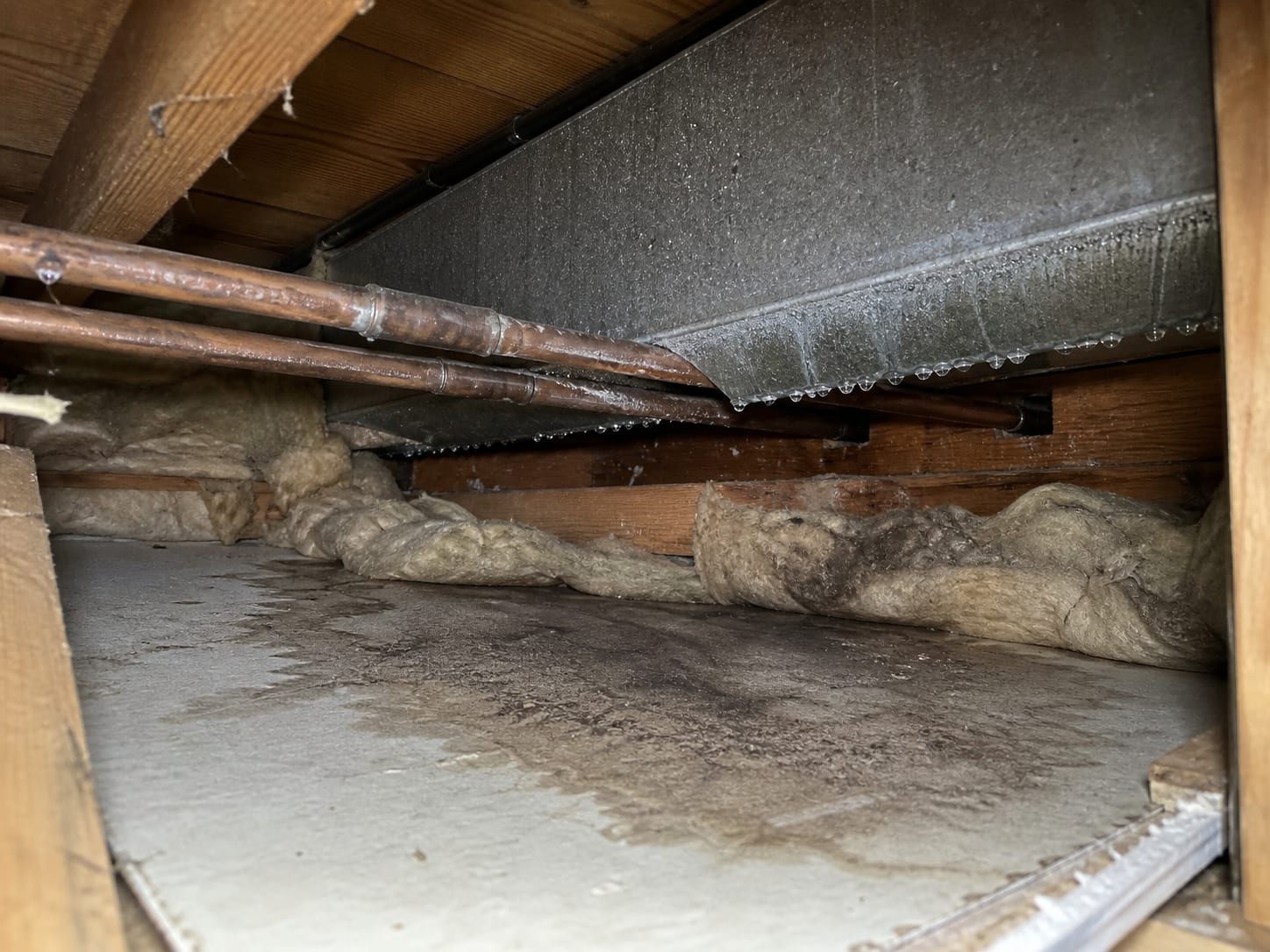 A wider view above a ceiling opening where uninsulated cold water lines and a duct are beaded with condensation, drip staining spread on the material below them