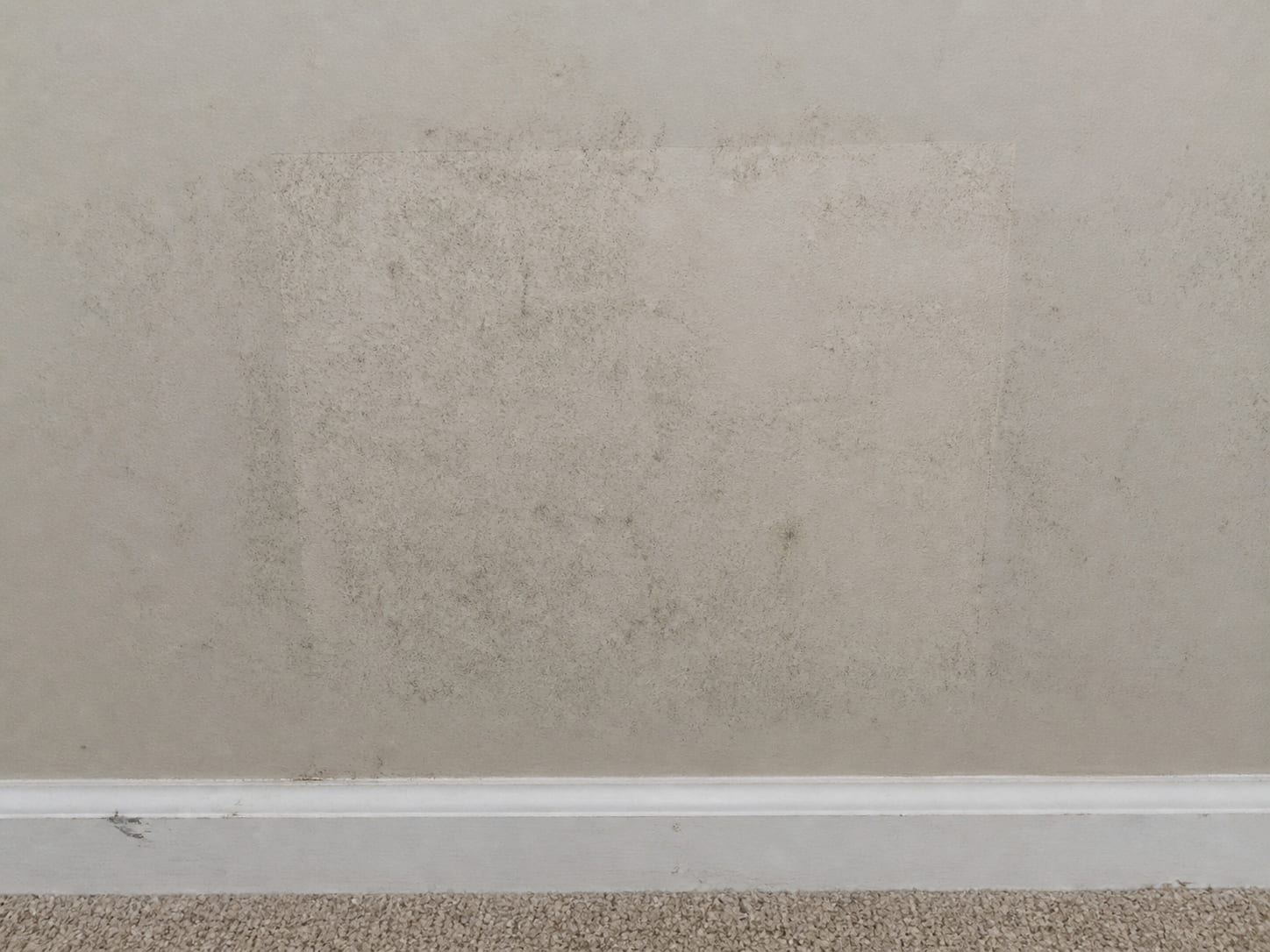 A rectangular patch of newer drywall compound on a bedroom wall with dark growth reappearing across the patch and continuing past its edges onto the older painted surface around it, in Plainsboro, New Jersey