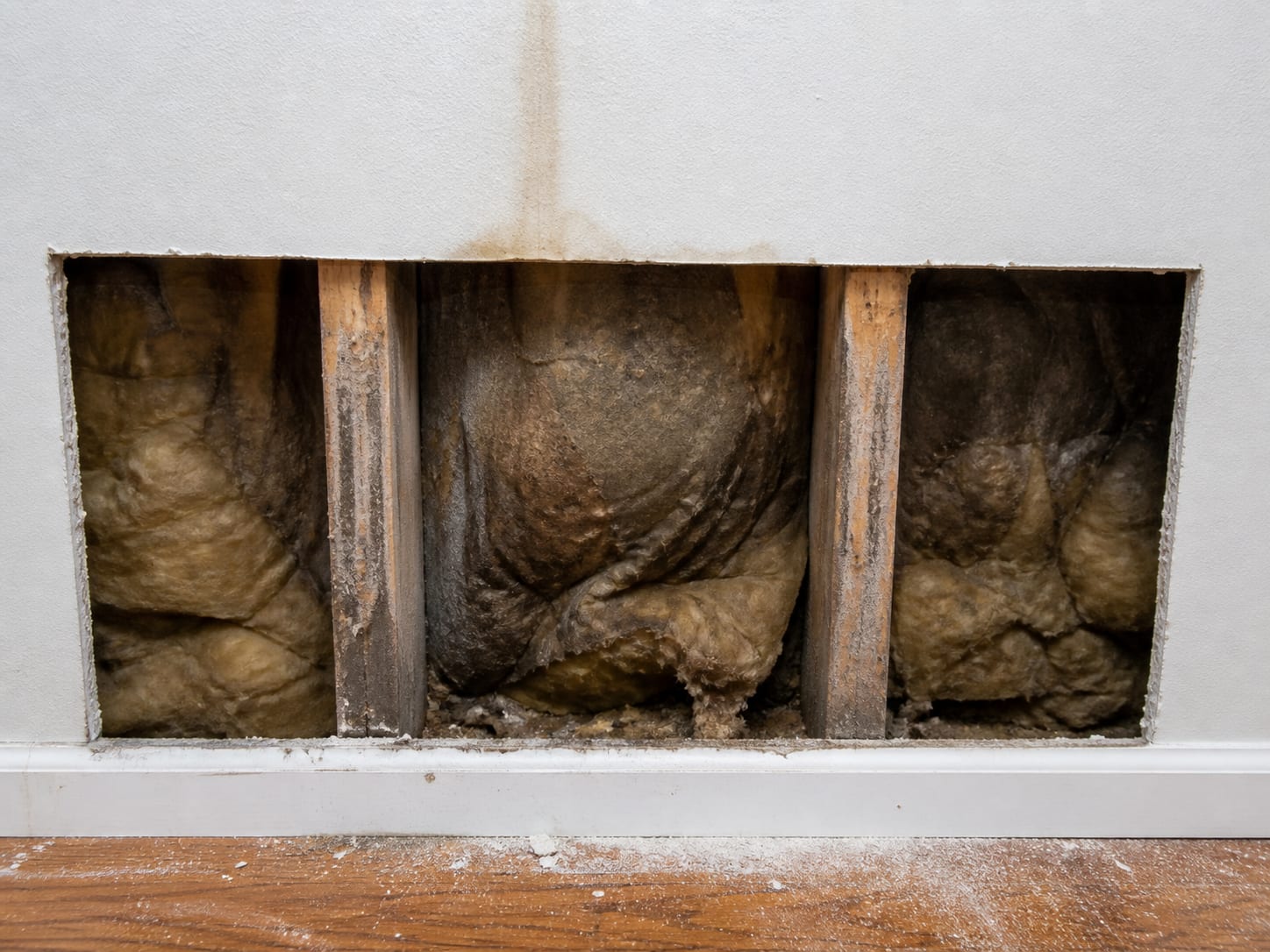 A section of wall opened below a stain, the cut edge revealing damp insulation and darkened framing extending well past the width of the visible mark, in Plainsboro, New Jersey