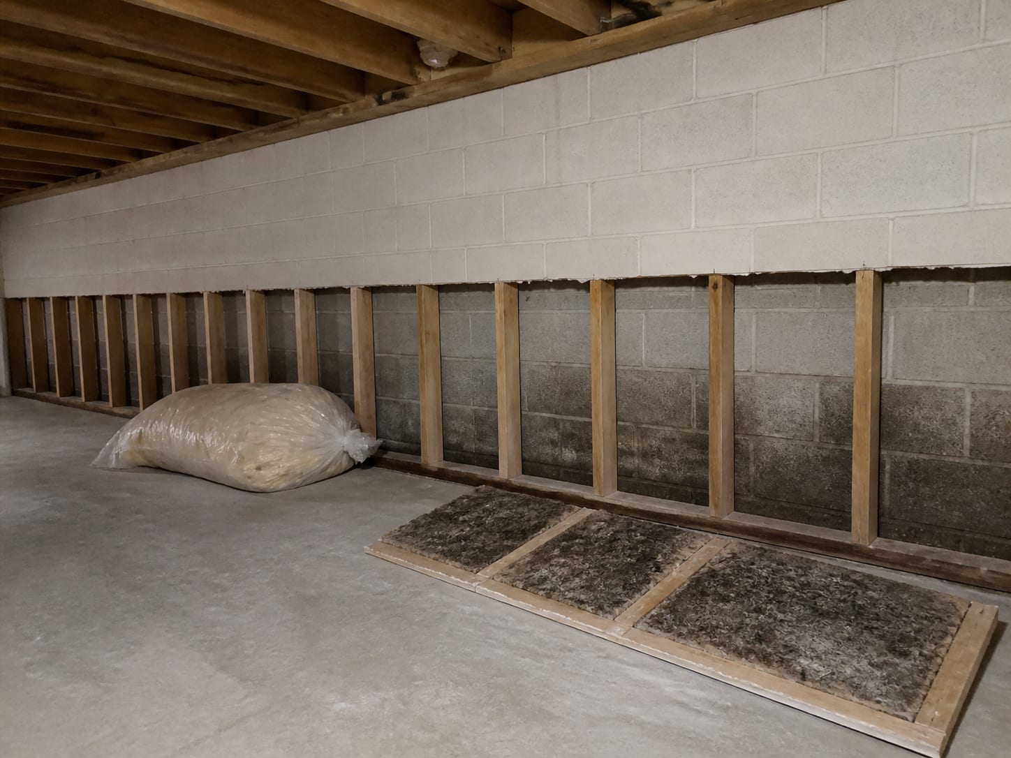 A flood cut band of drywall removed to expose bare studs and the bottom plate, with the removed board lying face down showing dark growth on its cavity side, in Warren, New Jersey
