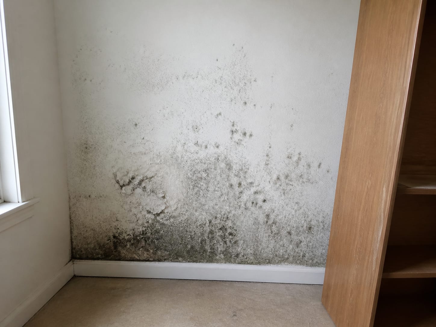 Dark mould growth spreading across drywall in a West Windsor, New Jersey home, revealed where a tall storage unit has been pulled away from the wall