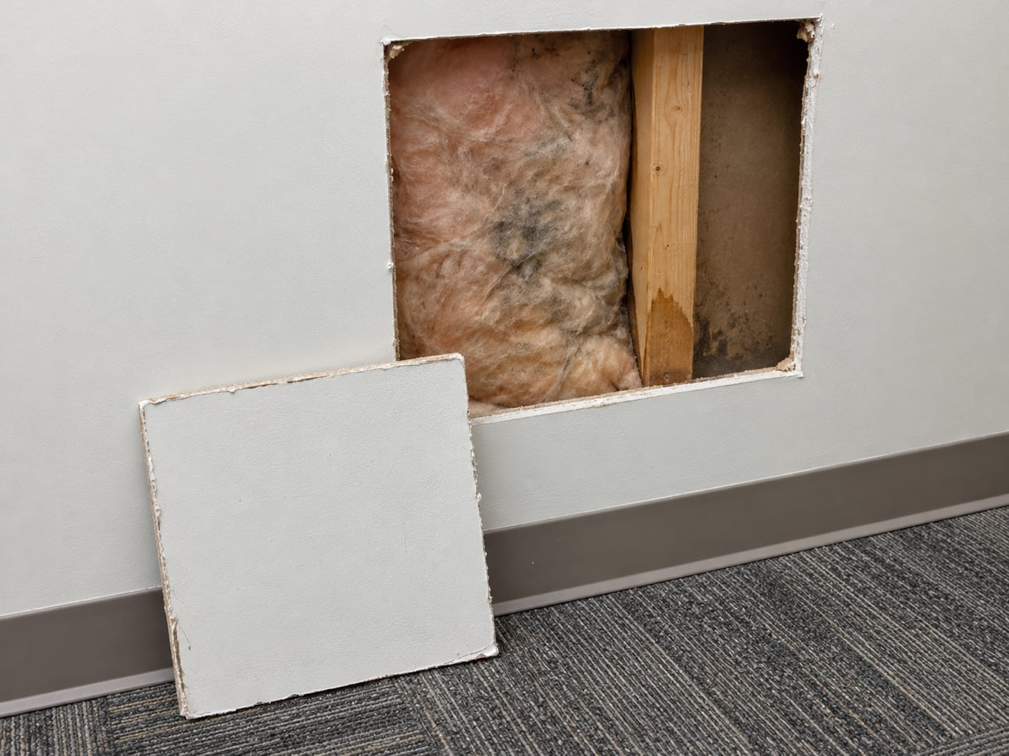 A square access opening cut in the painted drywall of a New Jersey office corridor wall, showing a damp-stained stud, discolored insulation and the darkened back of the drywall