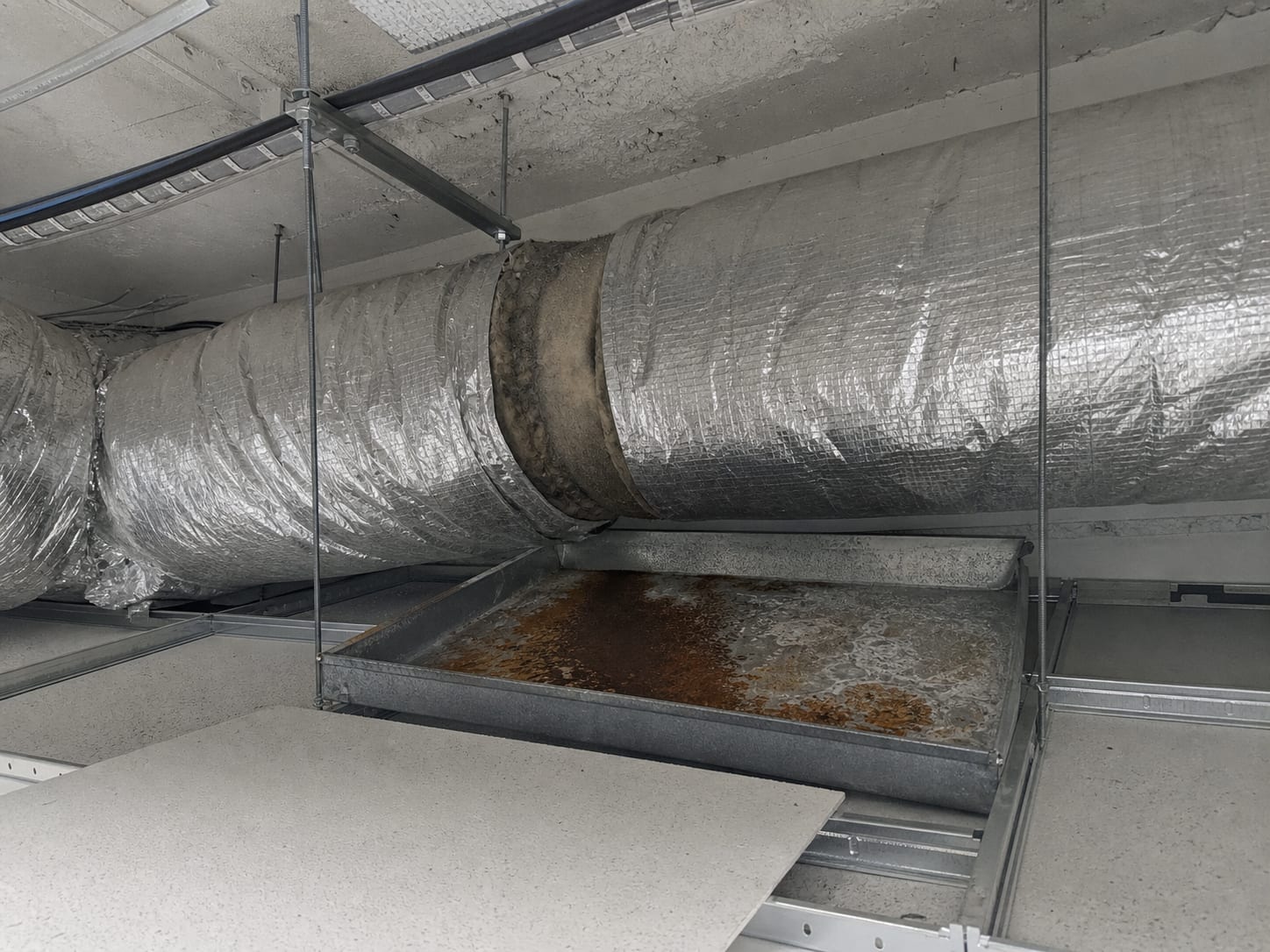 A suspended ceiling tile lifted aside in a West Windsor, New Jersey office to reveal a stained flexible duct liner and a rusted condensate pan in the plenum above