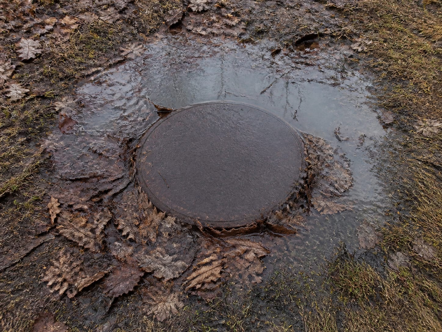 A round cast cover set flush in a lawn with wet matted leaves packed over its rim and a shallow pool of water standing across it, the grass around it dark and flattened, in Alpine, New Jersey