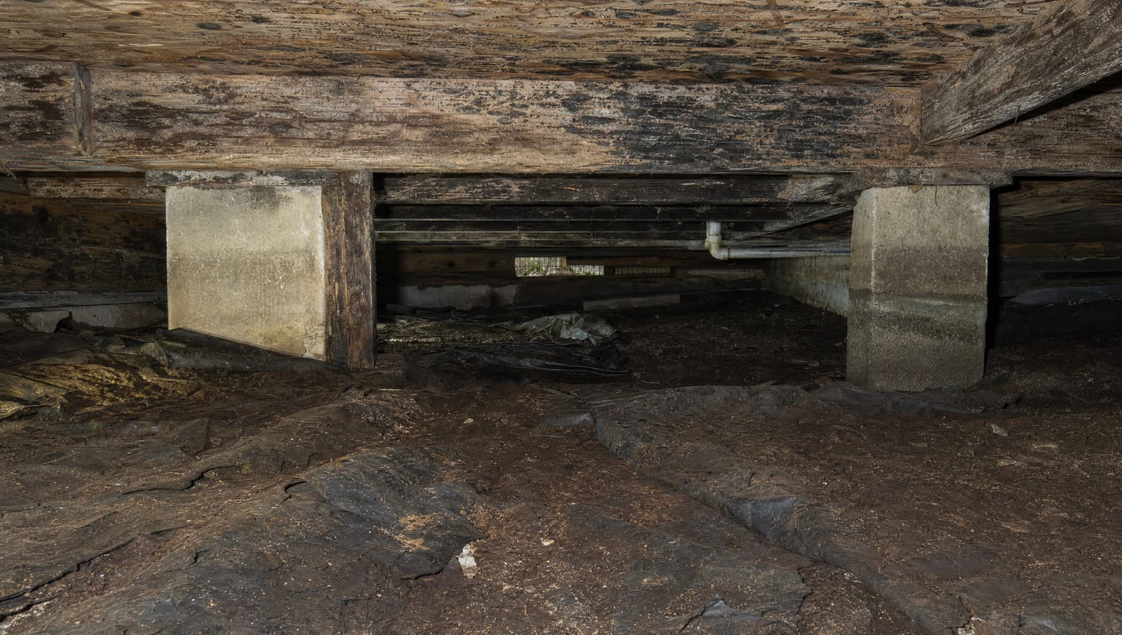 The Deal, NJ Crawl-Space Investigation: Planning Mold Remediation Around Coastal Moisture and the Summer Building Moratorium