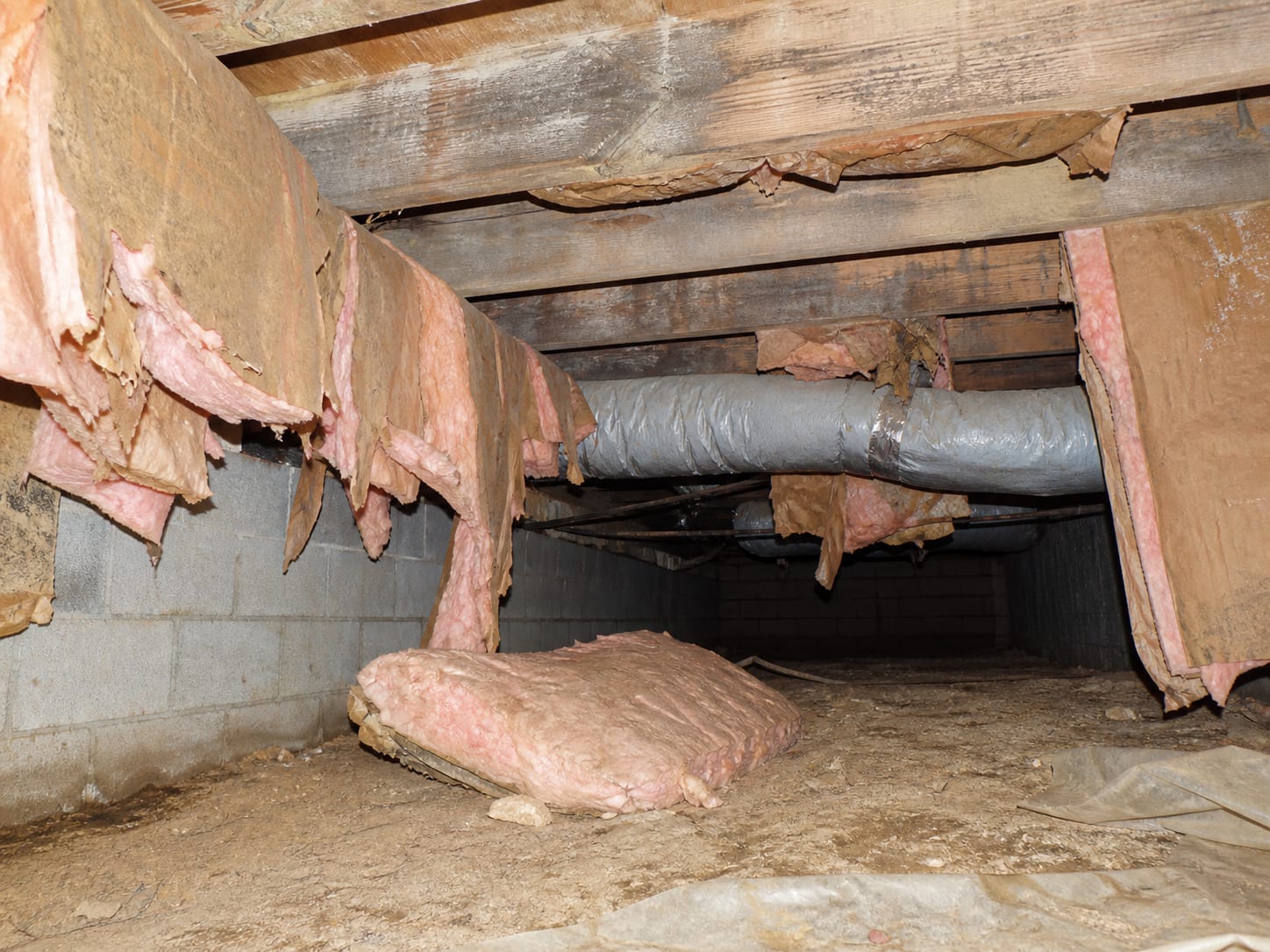 A wider view down the joist bays of a crawl space where wet batt insulation has sagged and pulled away from the subfloor, with darkened framing above and insulated ducts running through the bays