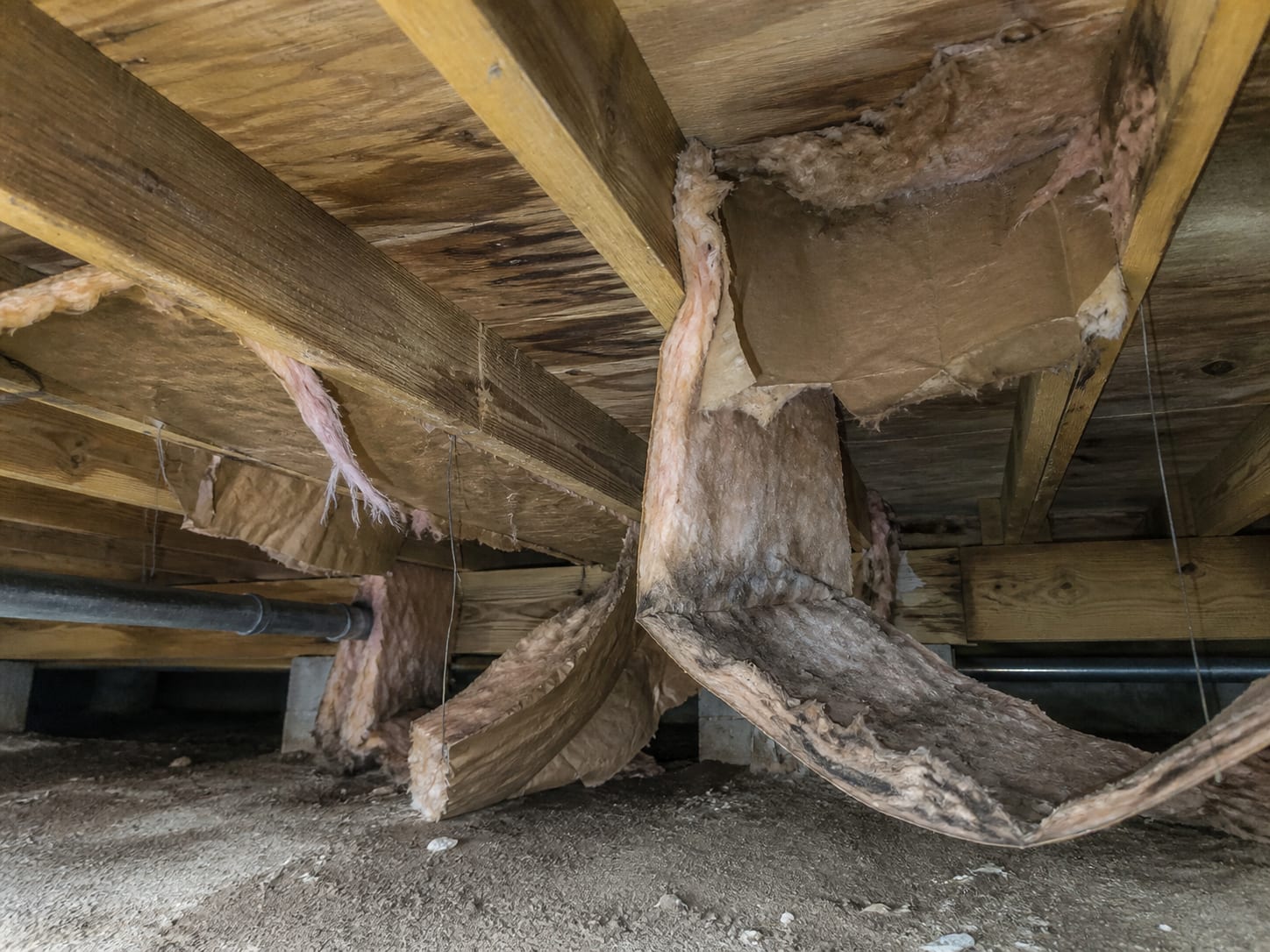 Fibreglass batts hanging loose and darkened between crawl space floor joists where they have absorbed moisture, in Warren, New Jersey