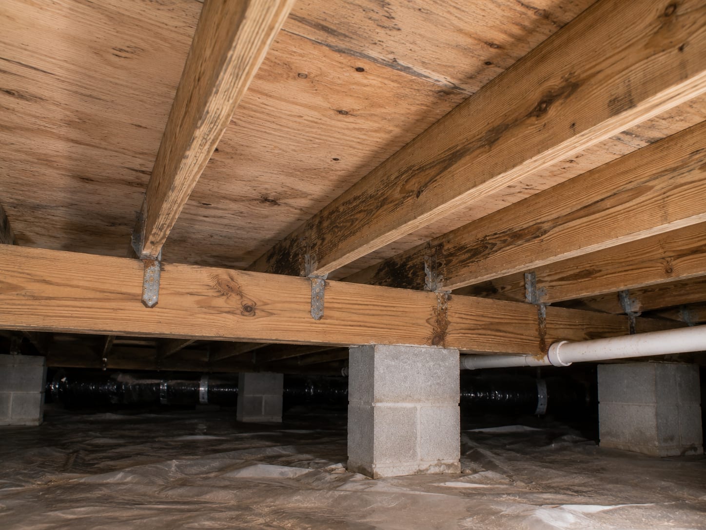 Dark mold growth across wood floor joists and subfloor in a dirt-floor crawl space