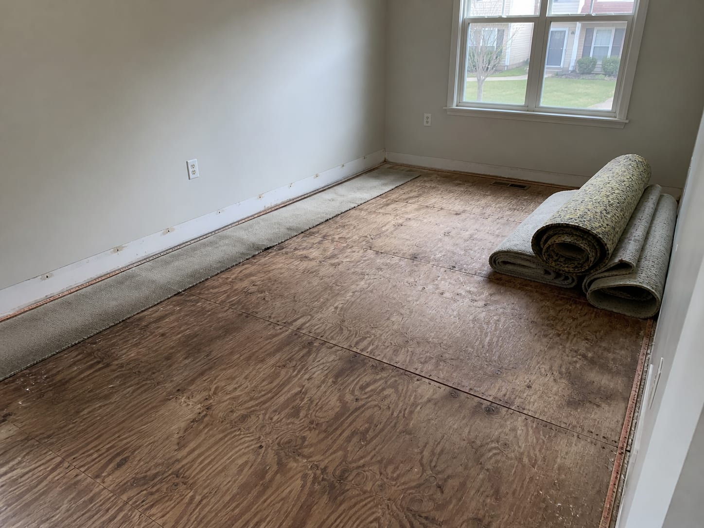 A ground floor room where wet carpet has been cut back off the tack strip and the saturated pad removed to expose plywood subfloor, with the removed material rolled and staged along one wall
