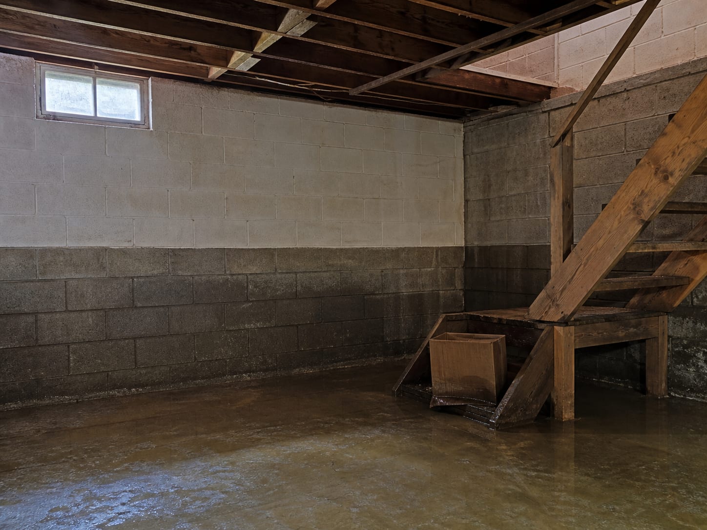 A horizontal water line marking the parged block wall of a basement above a wet concrete floor at the foot of a timber stair, in Warren, New Jersey