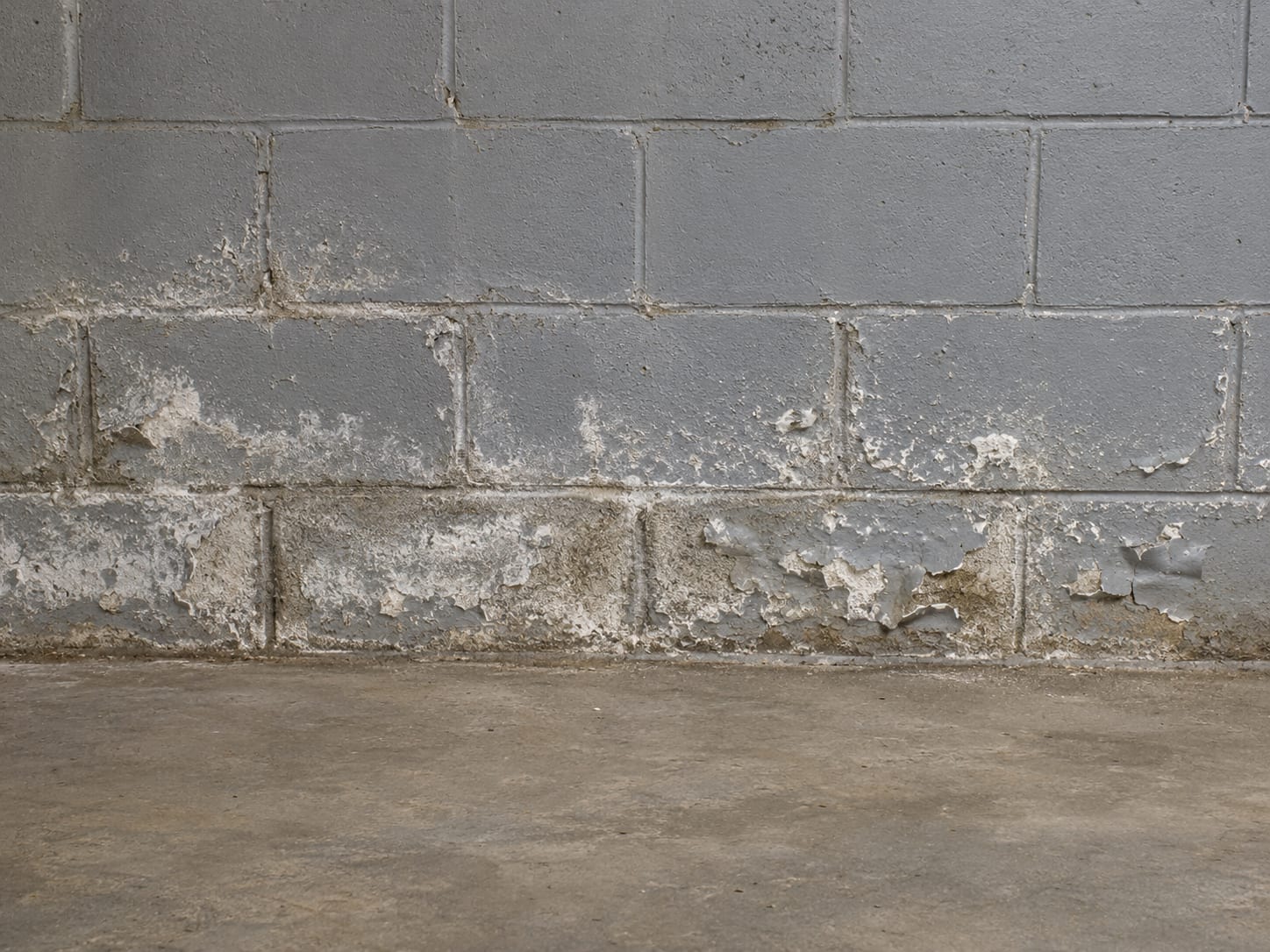 White chalky efflorescence deposits and flaking paint on the lower courses of a painted concrete block foundation wall in a New Jersey basement