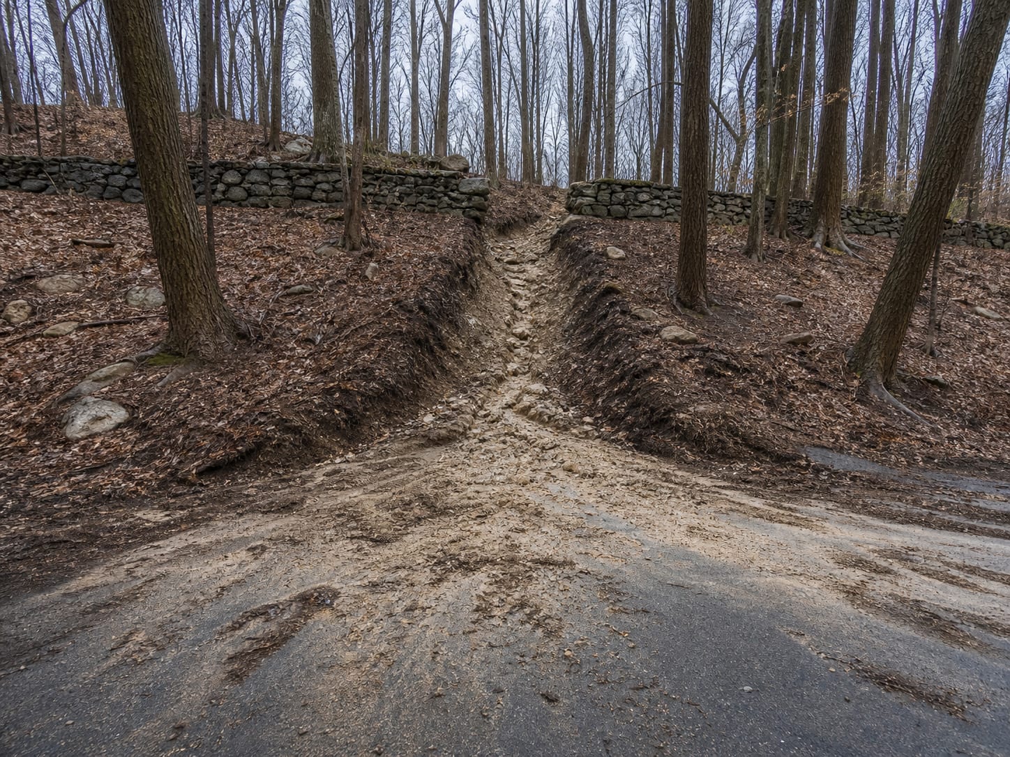 A narrow channel scoured through leaf litter down a wooded slope to bare soil and gravel, running out onto a paved apron at the bottom, in Alpine, New Jersey