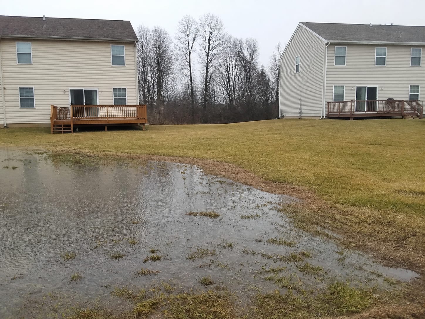 Two adjoining rear lawns behind a residential subdivision where one sits noticeably lower and holds a shallow sheet of standing water with a clear edge along the property line, the higher lawn dry, overcast flat daylight, in Plainsboro, New Jersey