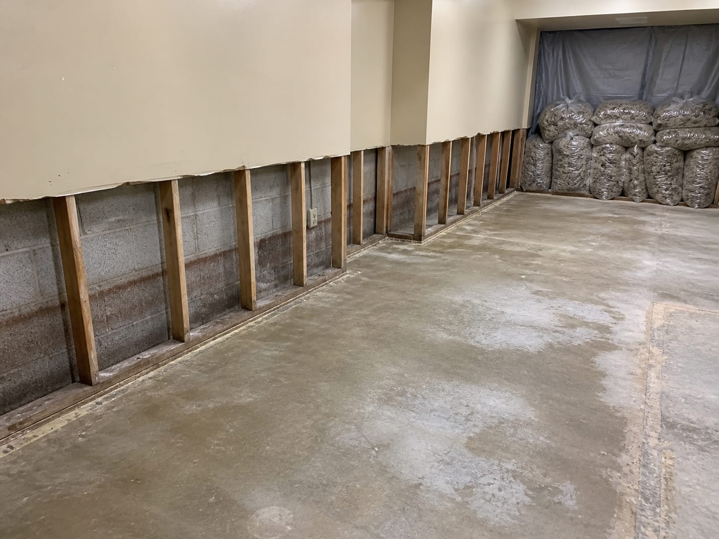 A lower level with carpet and pad removed to a wet slab and drywall cut back two feet, exposed studs and a silt line on the block behind, in Warren, New Jersey