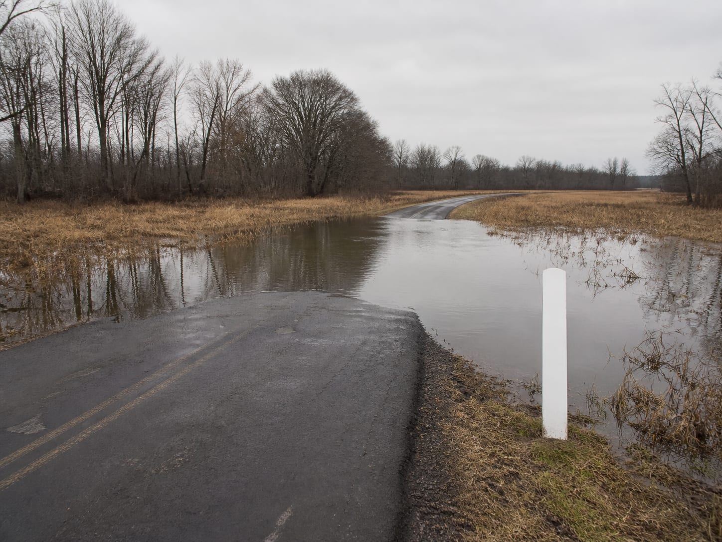 A low road crossing on the Millstone River corridor in West Windsor, New Jersey with flat floodplain meadow to either side and slow brown water lying close under the road