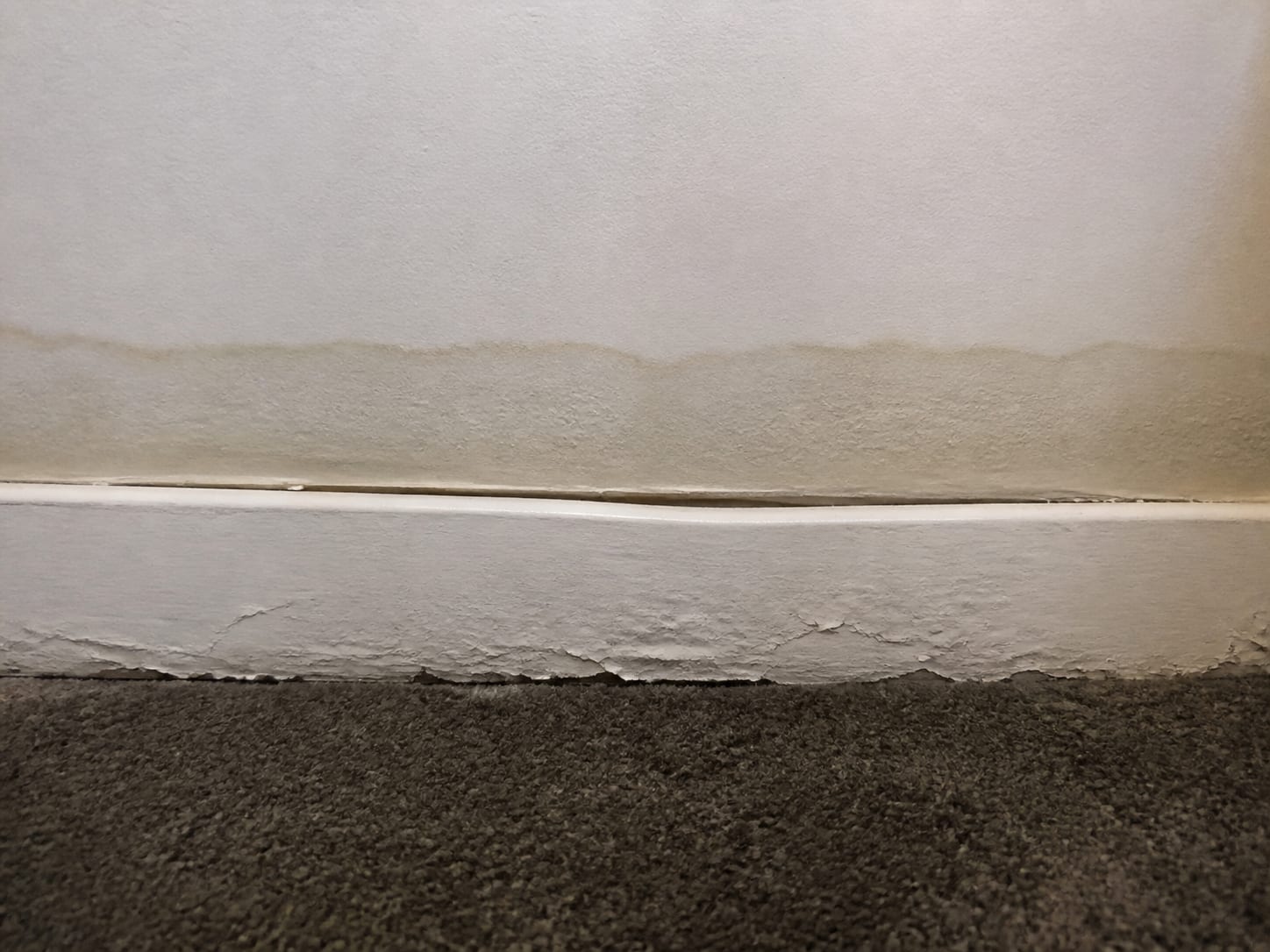 A clear horizontal water mark on painted drywall above a swollen and lifting baseboard, left in place as evidence of extent, in Warren, New Jersey