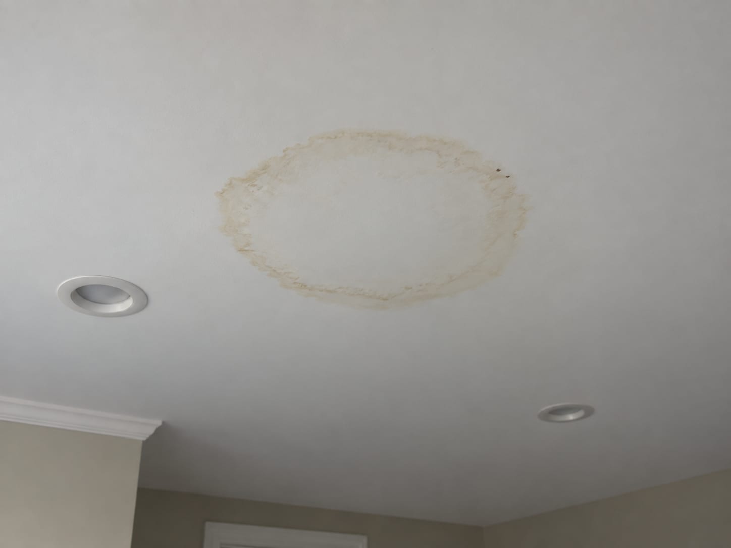 Finished lower level ceiling in a Robbinsville, New Jersey house with a tan ring-shaped water stain on white drywall below a bathroom