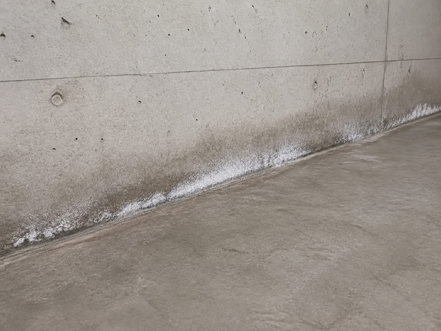 White powdery efflorescence and faint grey staining running along the cove joint where a poured concrete basement wall meets the slab in a West Windsor, New Jersey home