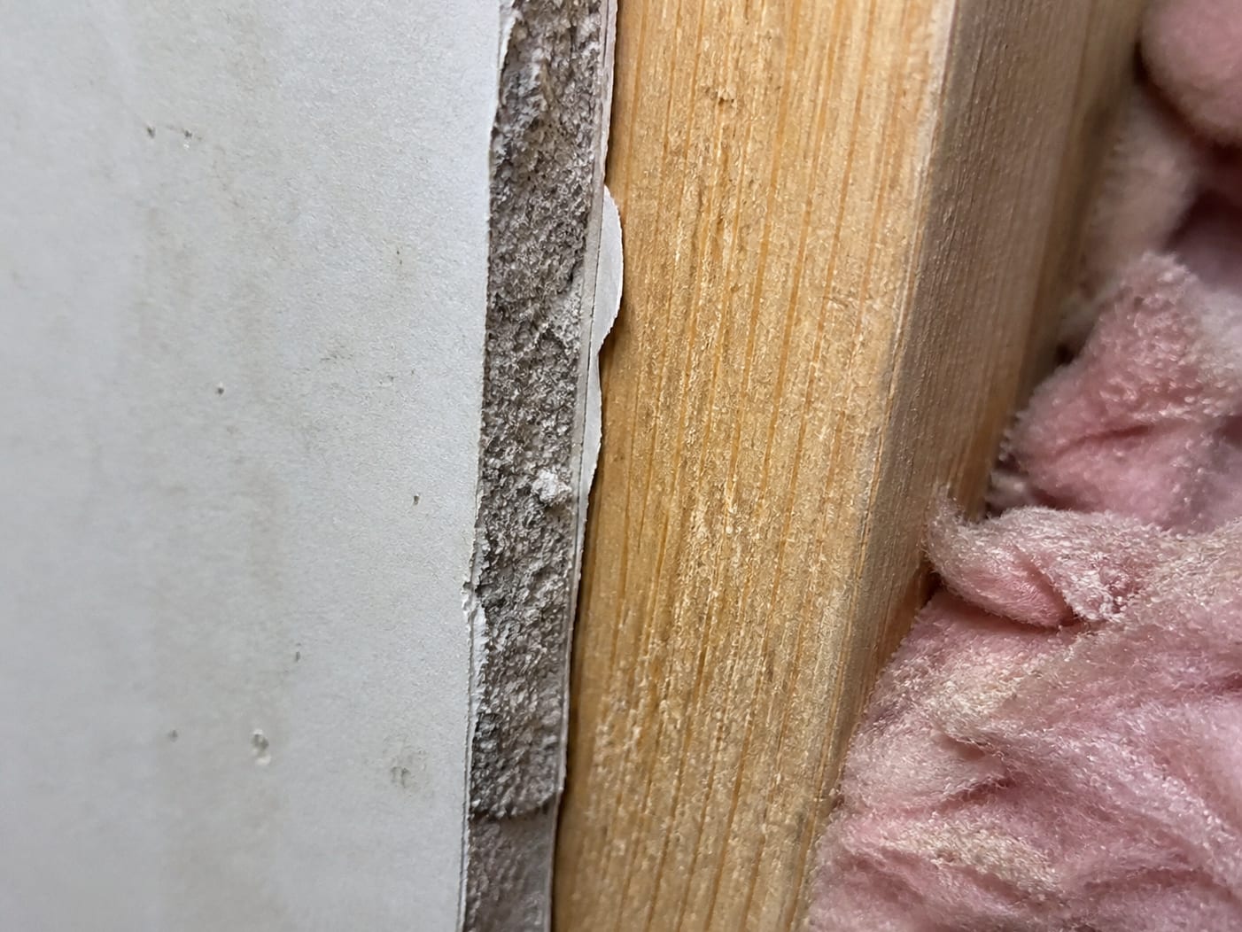 A close view of a cut drywall edge showing its paper facing and absorbent gypsum core beside the dense dry face of a bare wood stud, the porosity difference that decides what is removed
