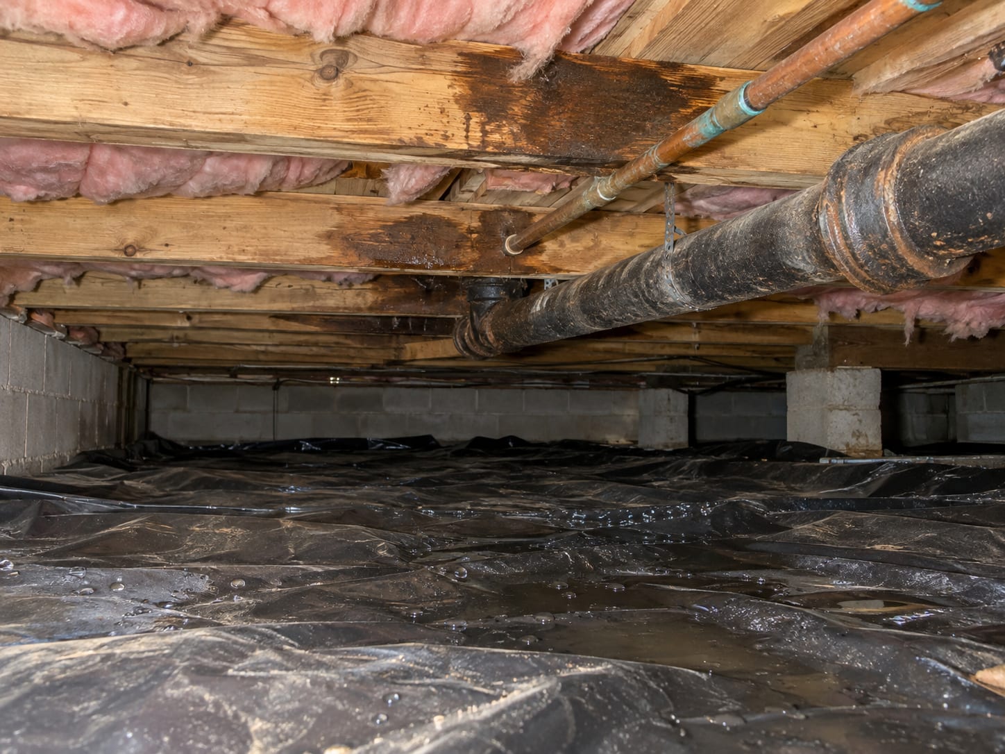 Crawl space beneath a Bridgewater, New Jersey house with plastic ground cover, damp floor joists and a plumbing drain line