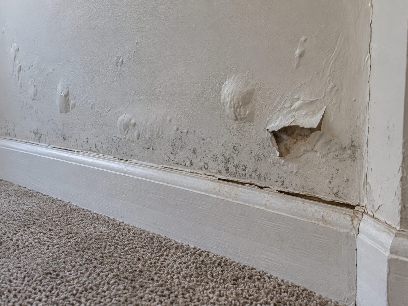 Peeling, bubbling paint and faint dark spotting on the lower drywall of a New Jersey room a week after storm water got in, just above a swollen baseboard
