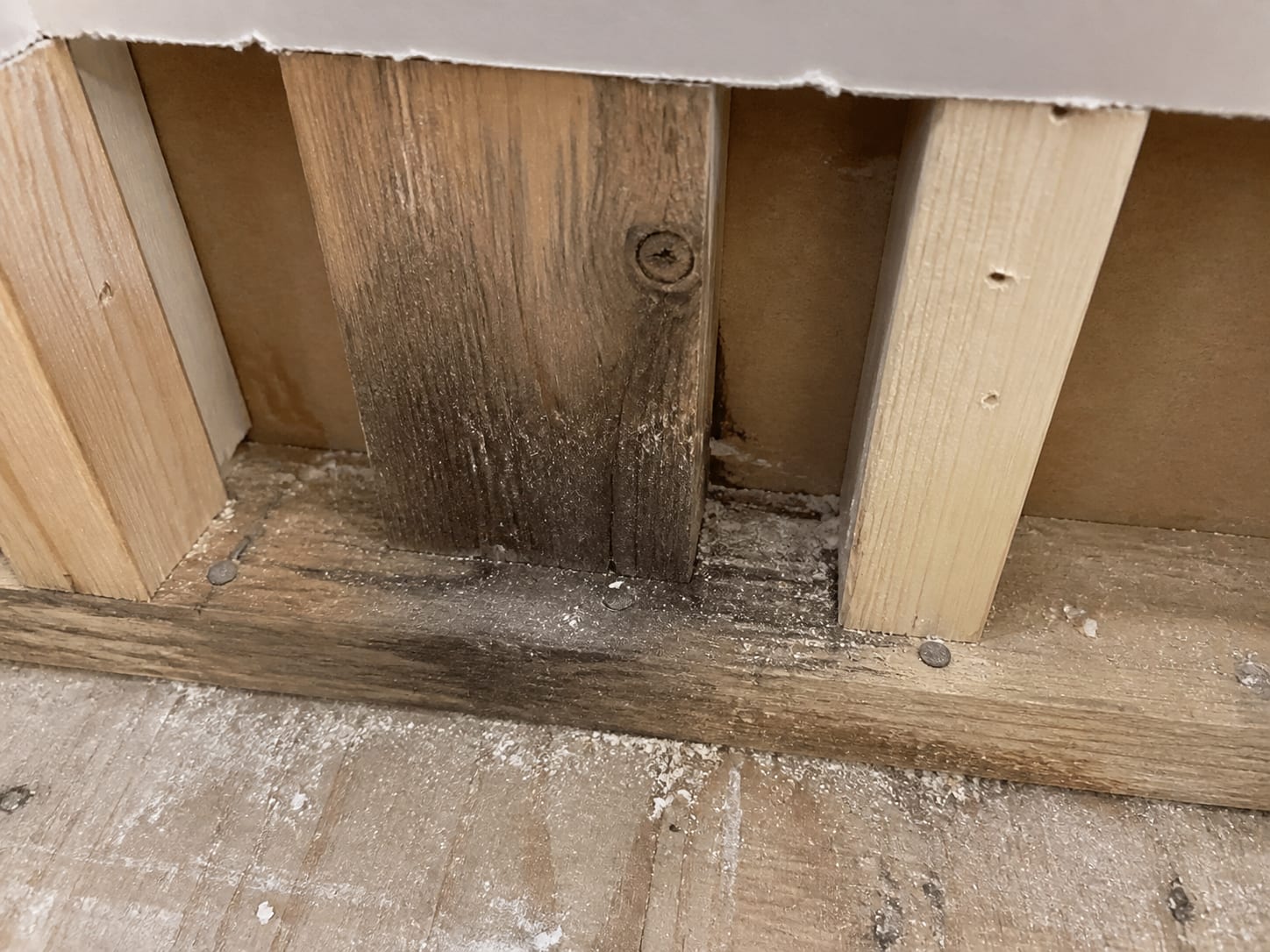 A close view inside an opened bearing wall in an East Windsor townhome where moisture darkening tapers up the grain of one stud from a stained bottom plate and the drywall is cut back square above