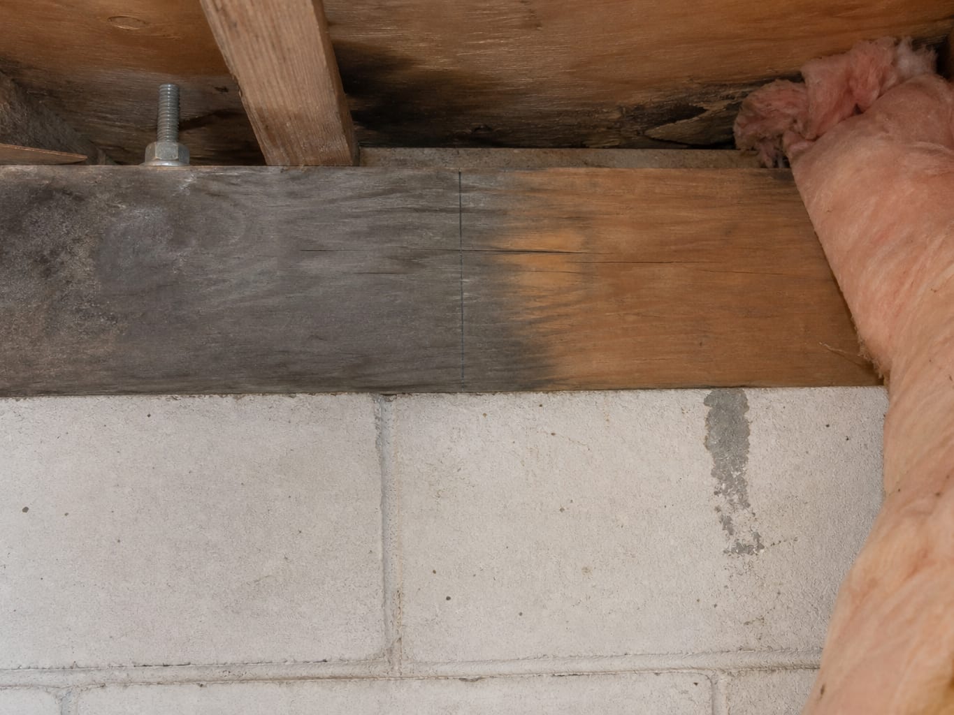 A close view of a moisture darkened rim joist above a Livingston foundation wall, insulation pulled back and a plain scribed line marking where the sound material begins