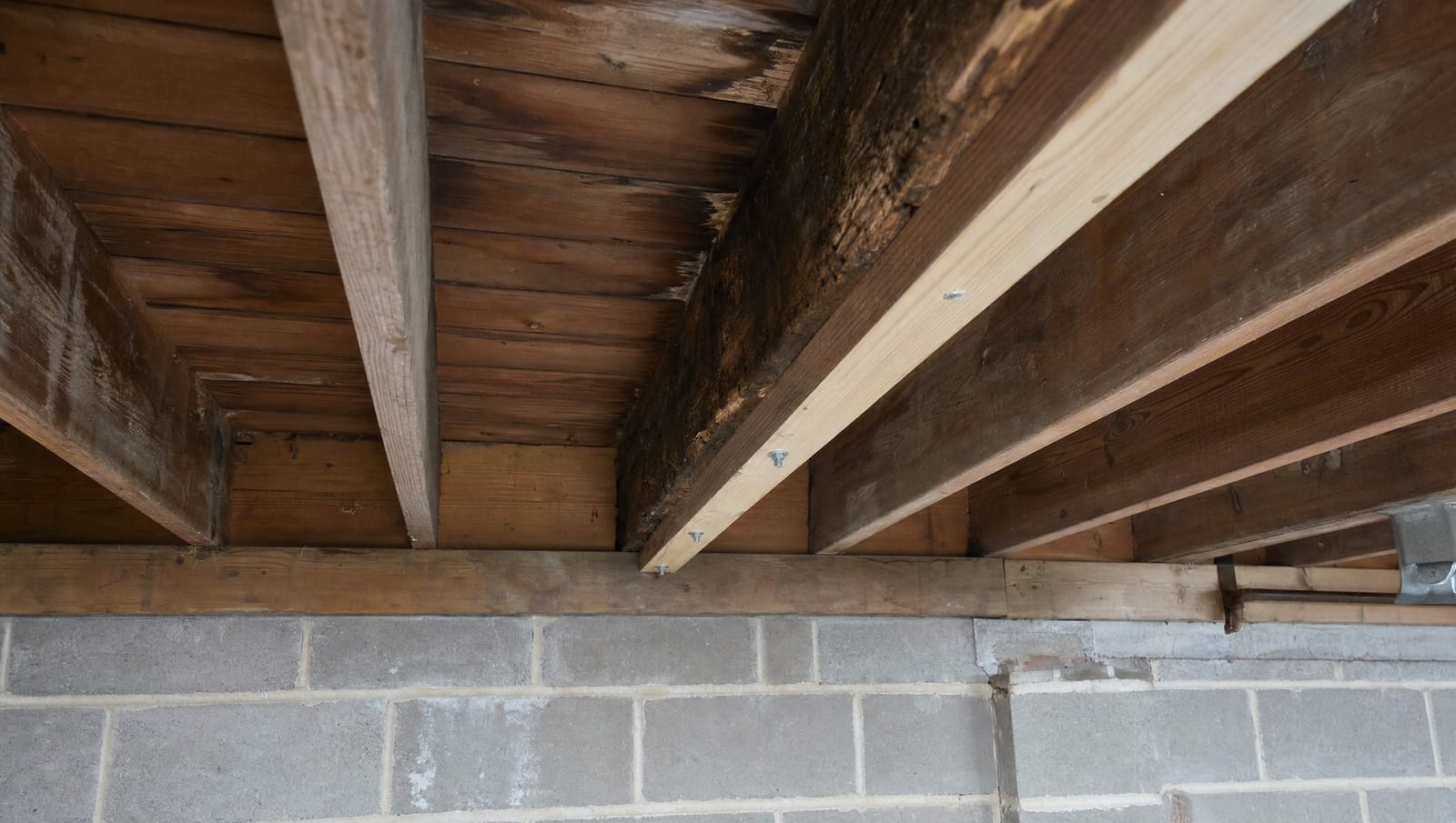 Sound, Sistered, or Replaced: Structural Mold Repair in Princeton Junction NJ Townhouses and Condos