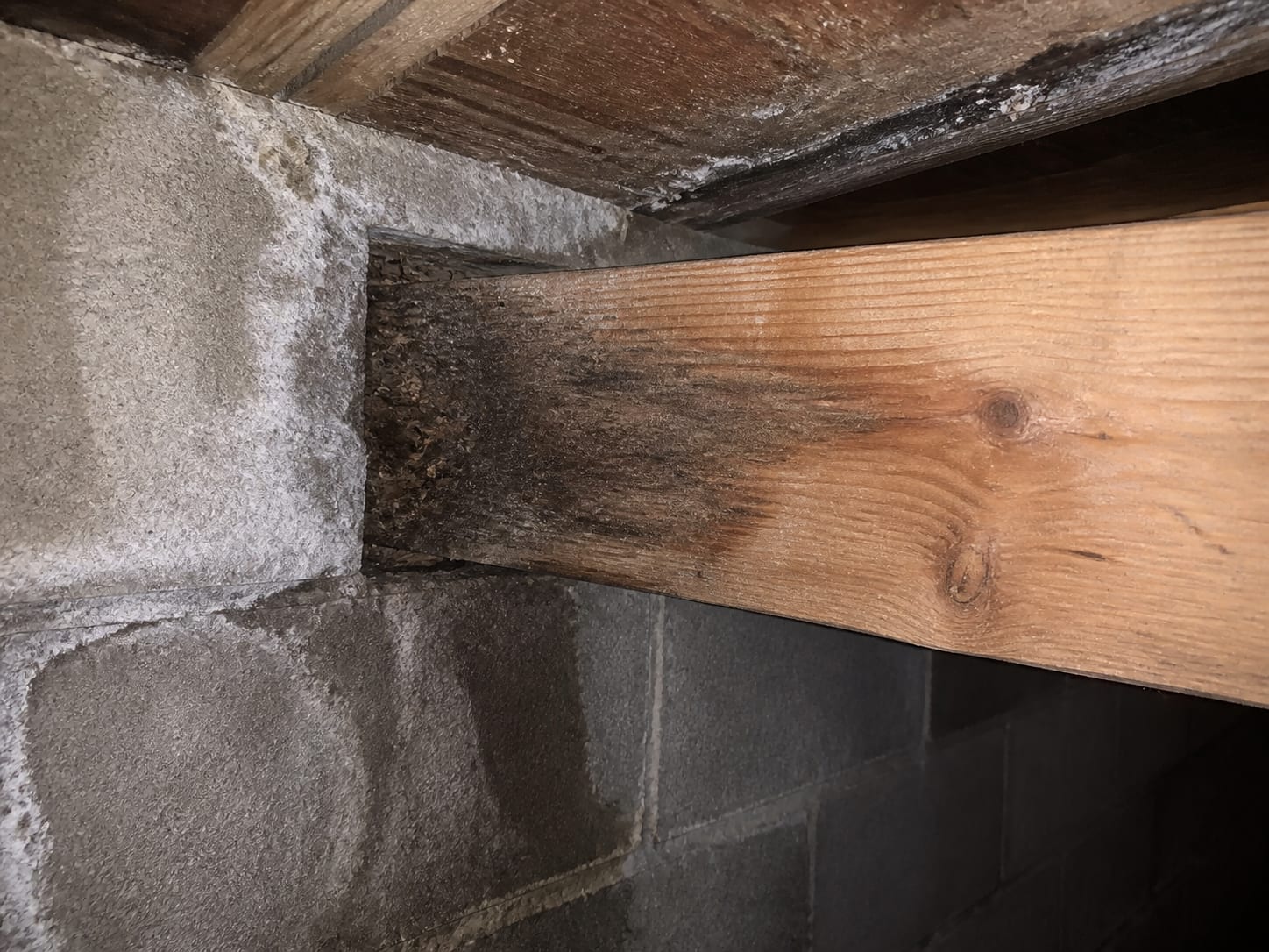 The end of a floor joist seated in a masonry pocket in a block foundation wall, the timber darkened and softened at the bearing, in Warren, New Jersey