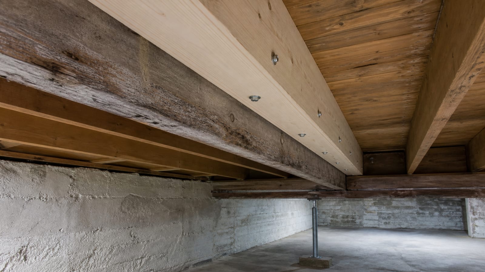 Structural Mold Repair in Warren, NJ: Where the Line Sits