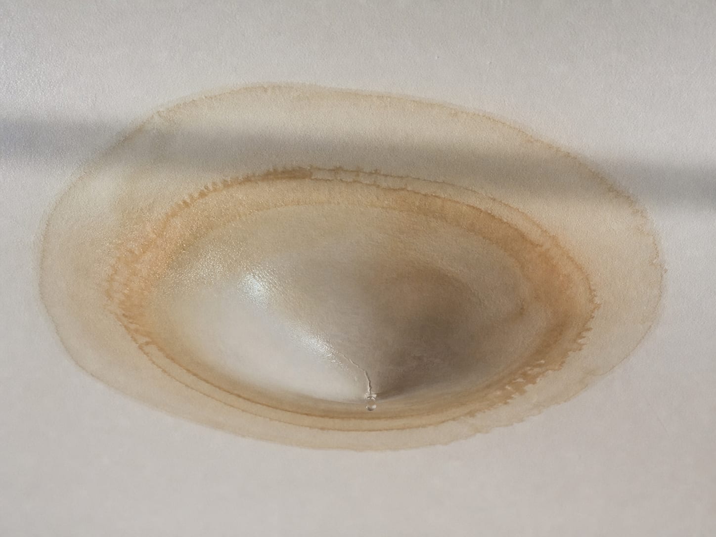 A painted ceiling with a defined dark ring and a heavy sagging bulge in the centre where water has collected behind the surface, the paint stretched and glossy over it, in Alpine, New Jersey