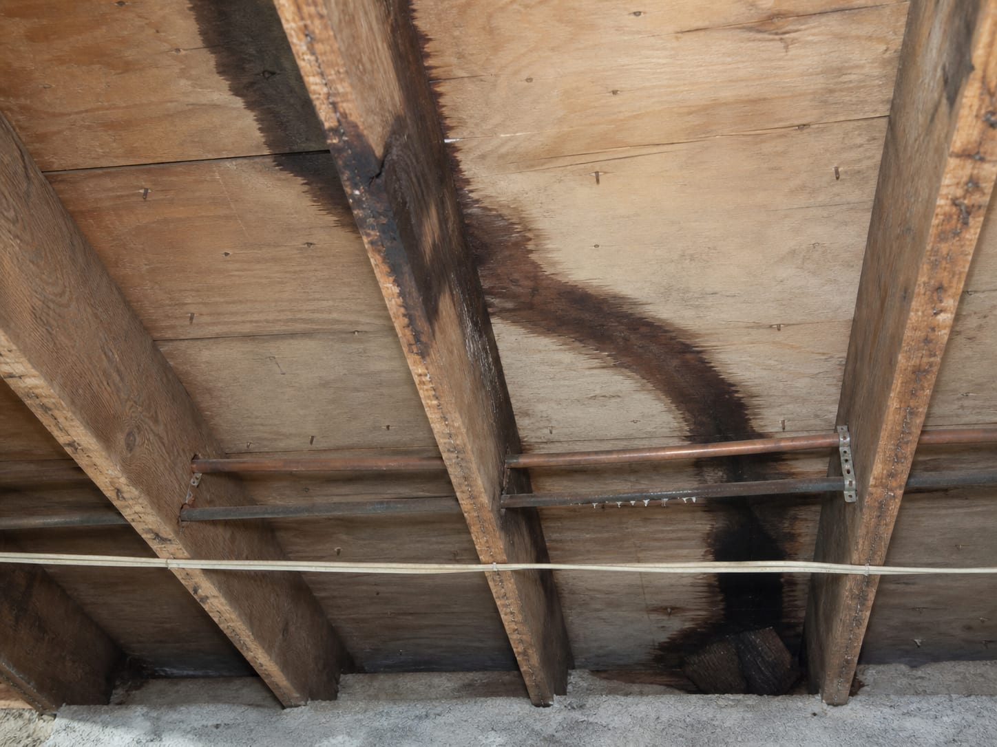 The underside of a subfloor between joists with a dark wet trail running along the timber away from its entry point, following the framing rather than dropping straight down, in Alpine, New Jersey
