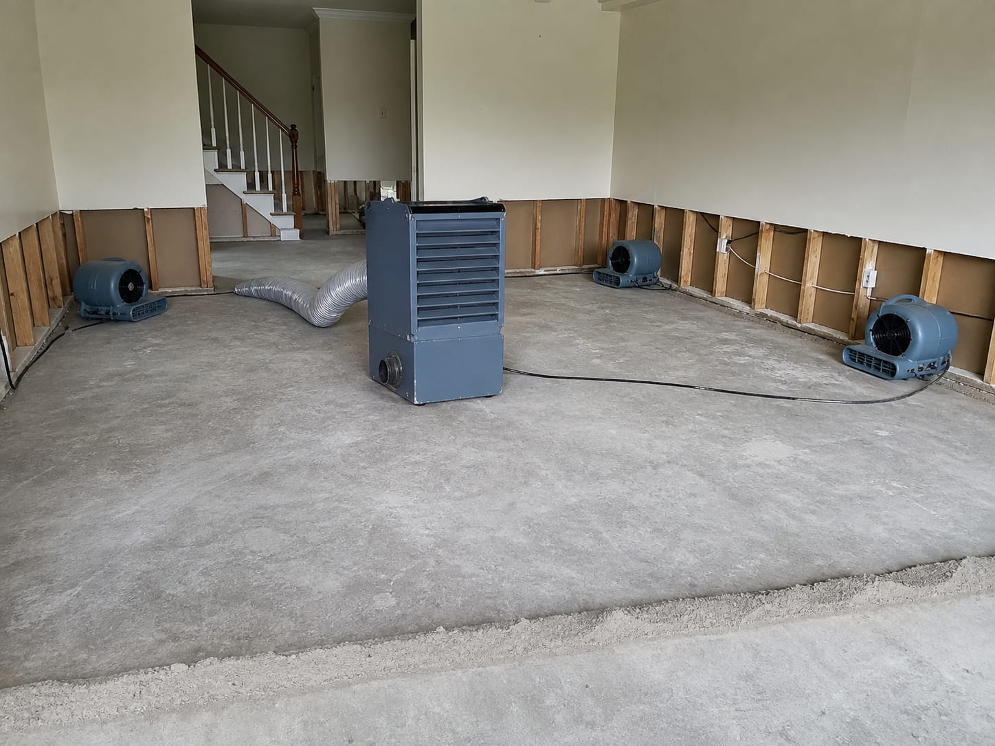 A ground floor room stripped to the slab with drywall flood cut in a straight line about two feet up, exposed studs and bare concrete, air movers and a dehumidifier running on the open floor, in Plainsboro, New Jersey