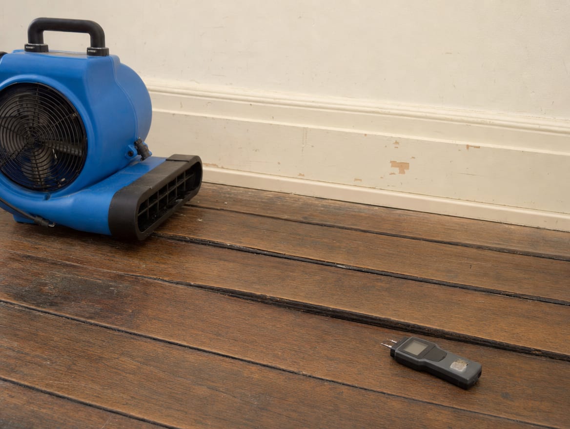 Water-cupped historic oak floorboards being dried with an air mover and checked with a moisture meter in a Princeton room