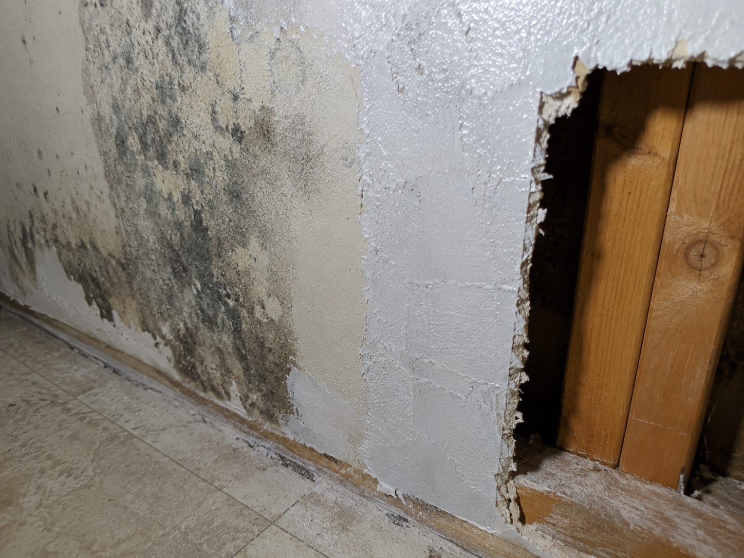 Close-up of a section of drywall in a residential bathroom with dark mold staining partially removed, showing the treated surface with anti-microbial solution applied alongside an intact adjacent section for contrast